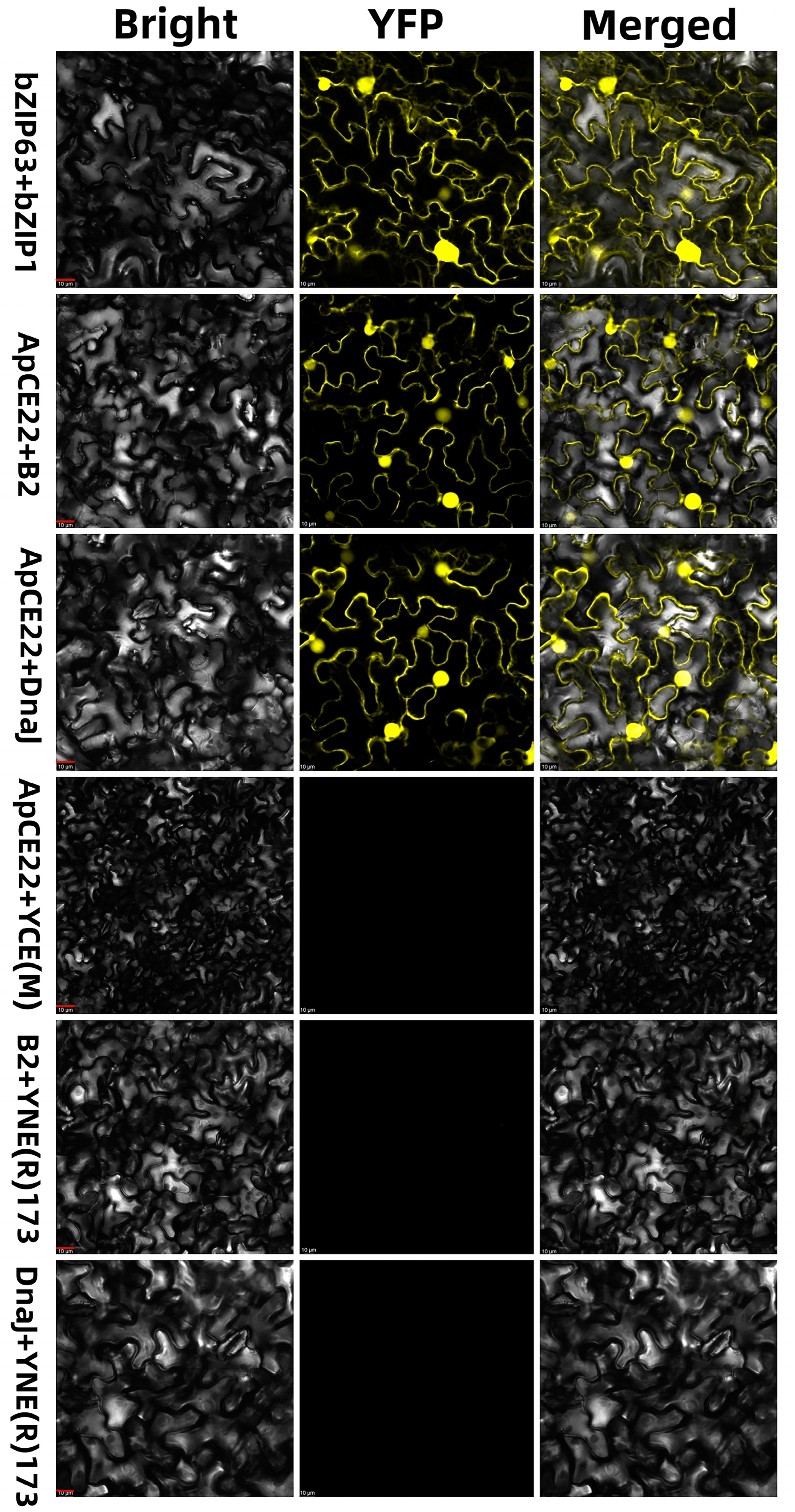 Biomolecules 13 00590 g003