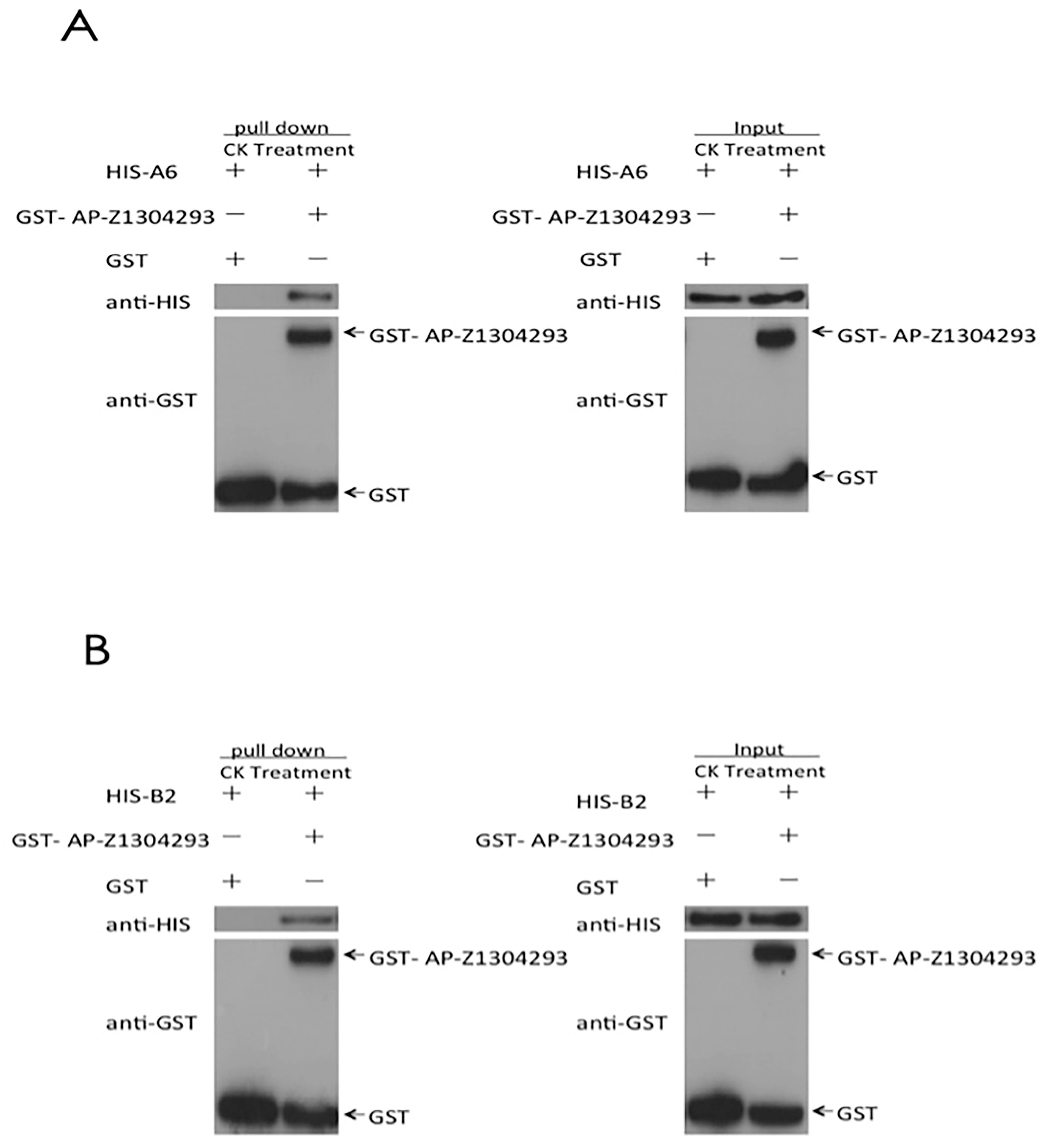 Biomolecules 13 00590 g004
