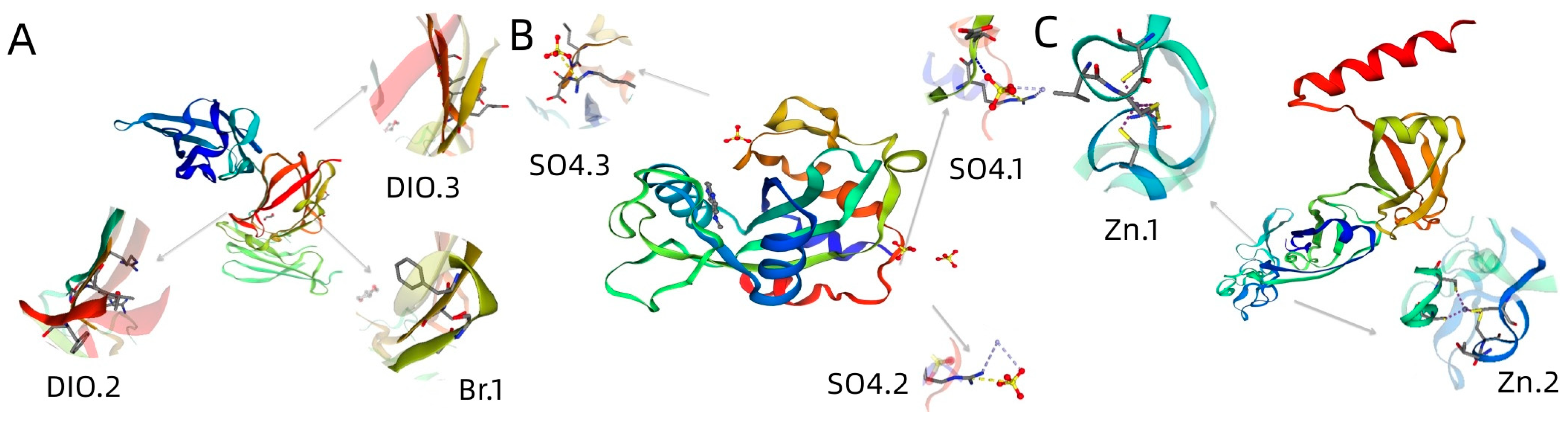 Biomolecules 13 00590 g005