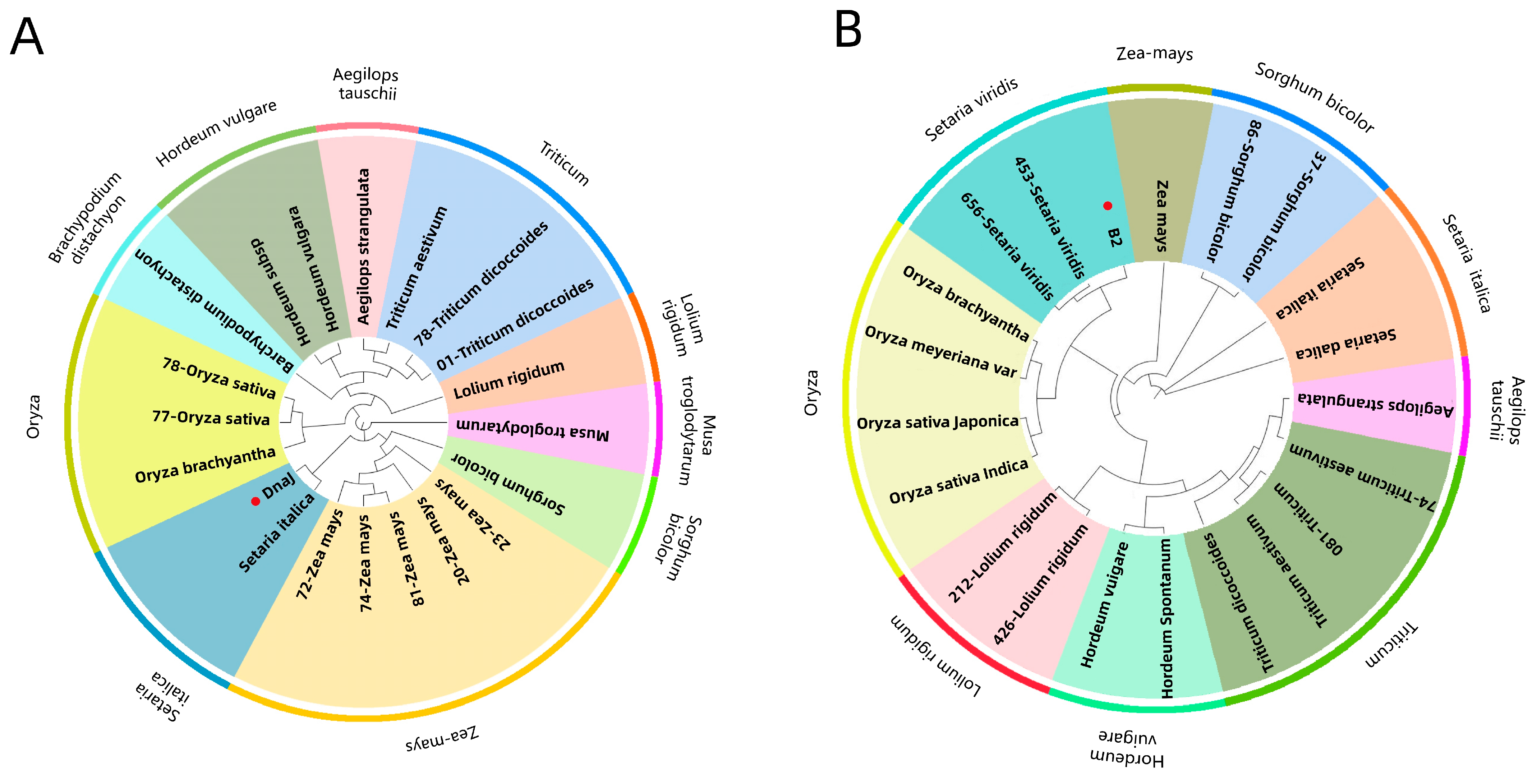 Biomolecules 13 00590 g006