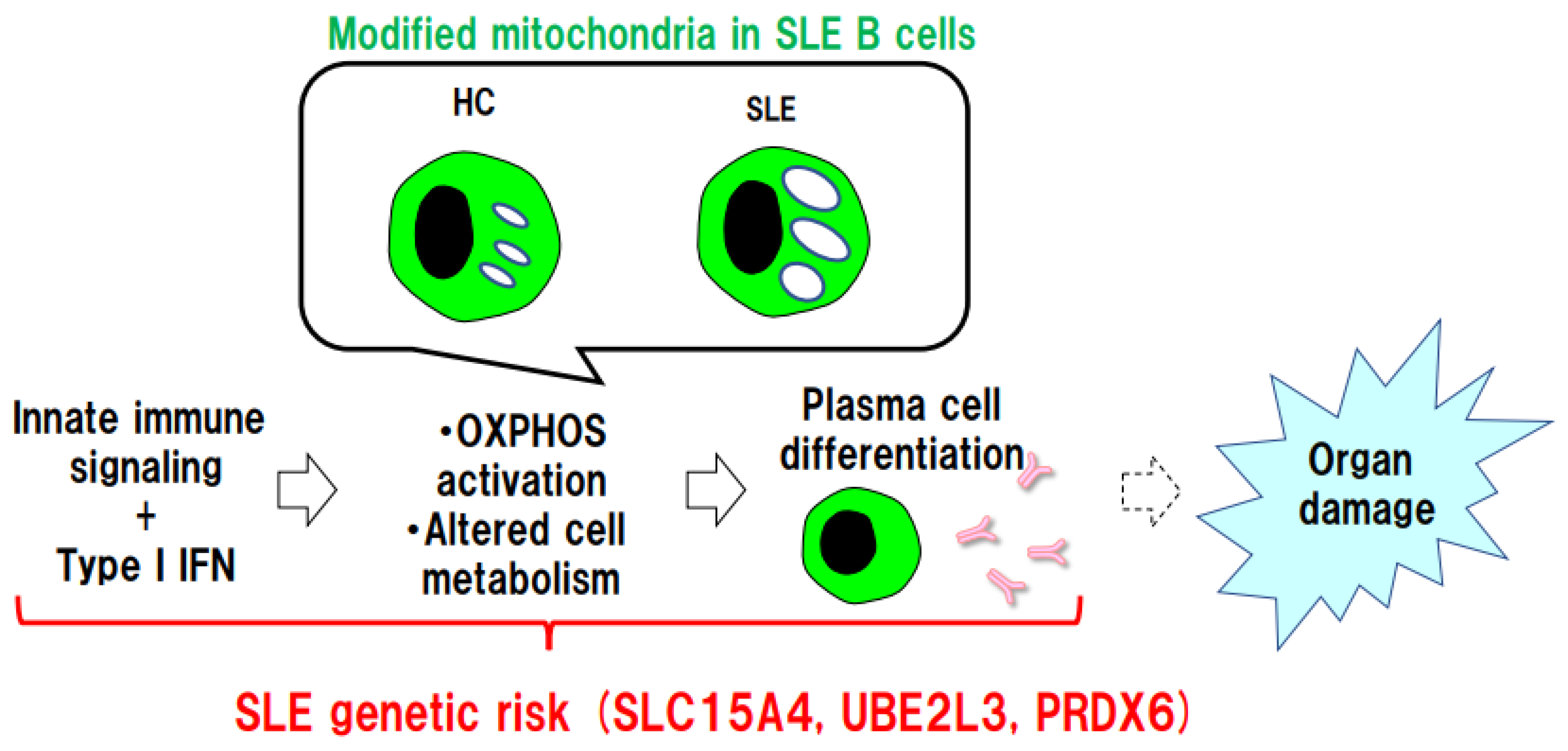 Biomolecules 13 00591 g001