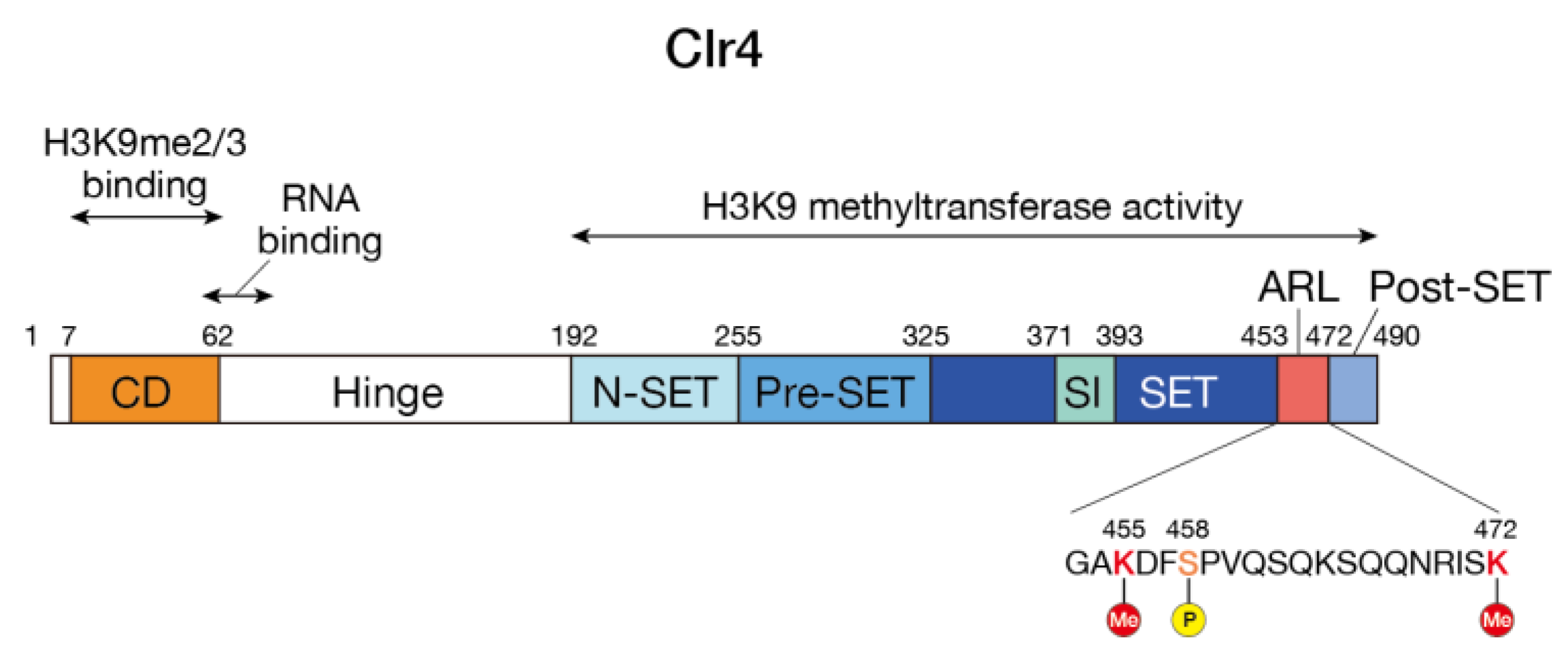 Biomolecules 13 00593 g001 Biomolecules 13 00593 g001