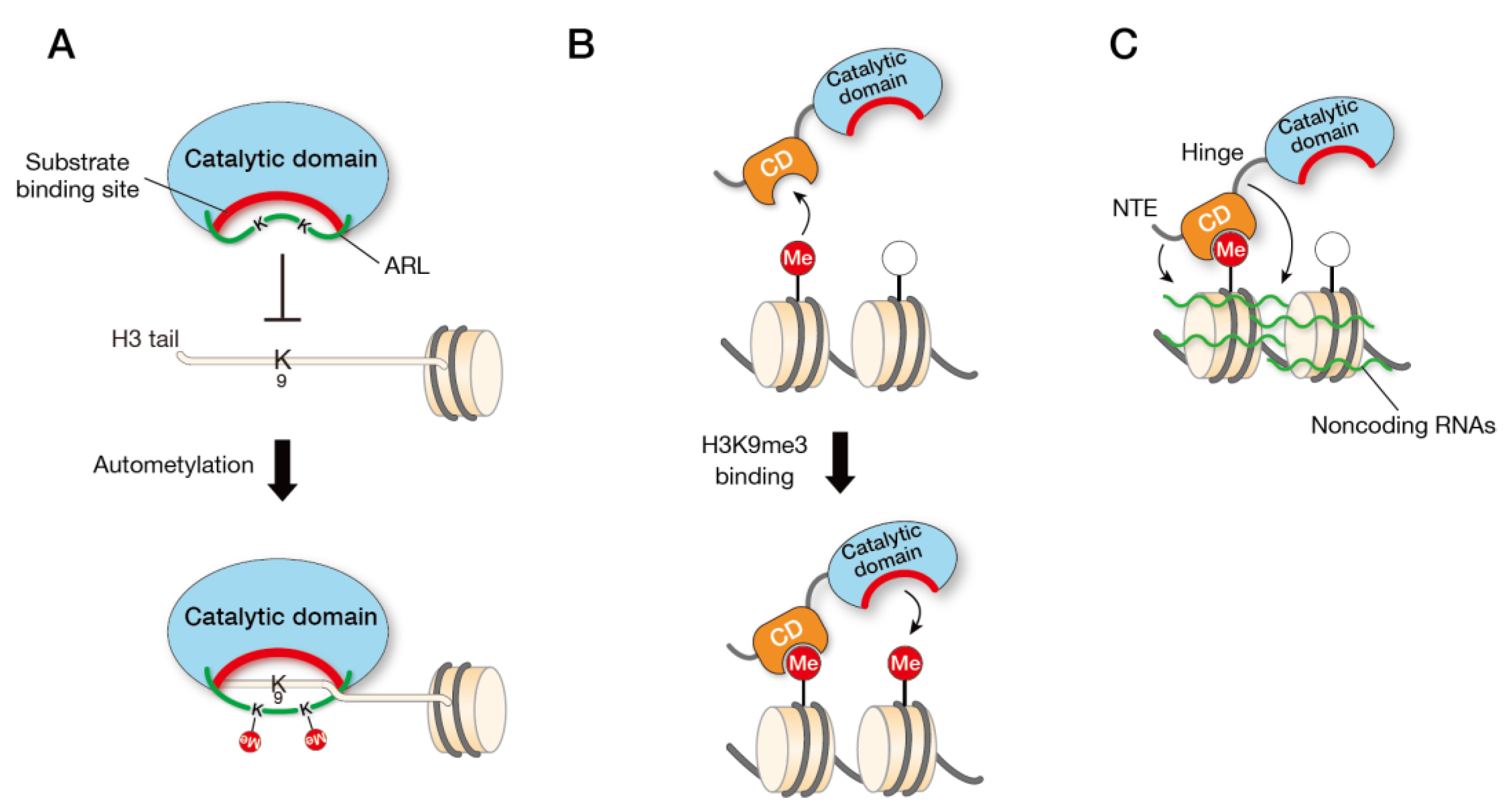 Biomolecules 13 00593 g002 Biomolecules 13 00593 g002