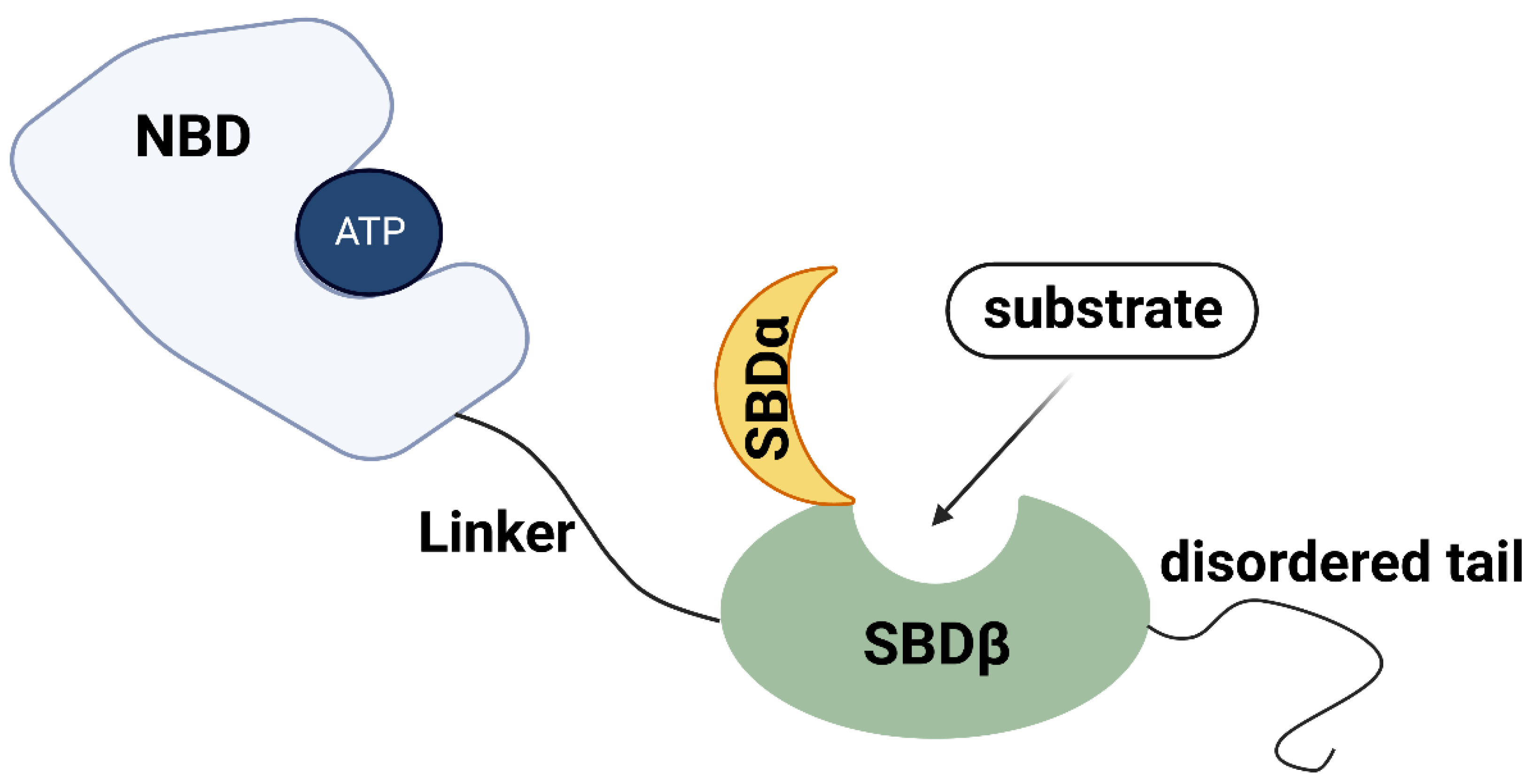 Biomolecules 13 00601 g001 Biomolecules 13 00601 g001