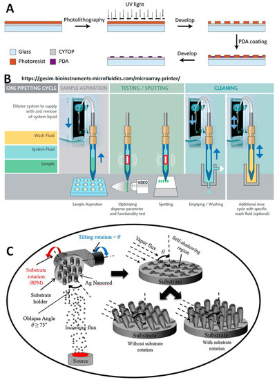 Biomolecules 13 00602 g001