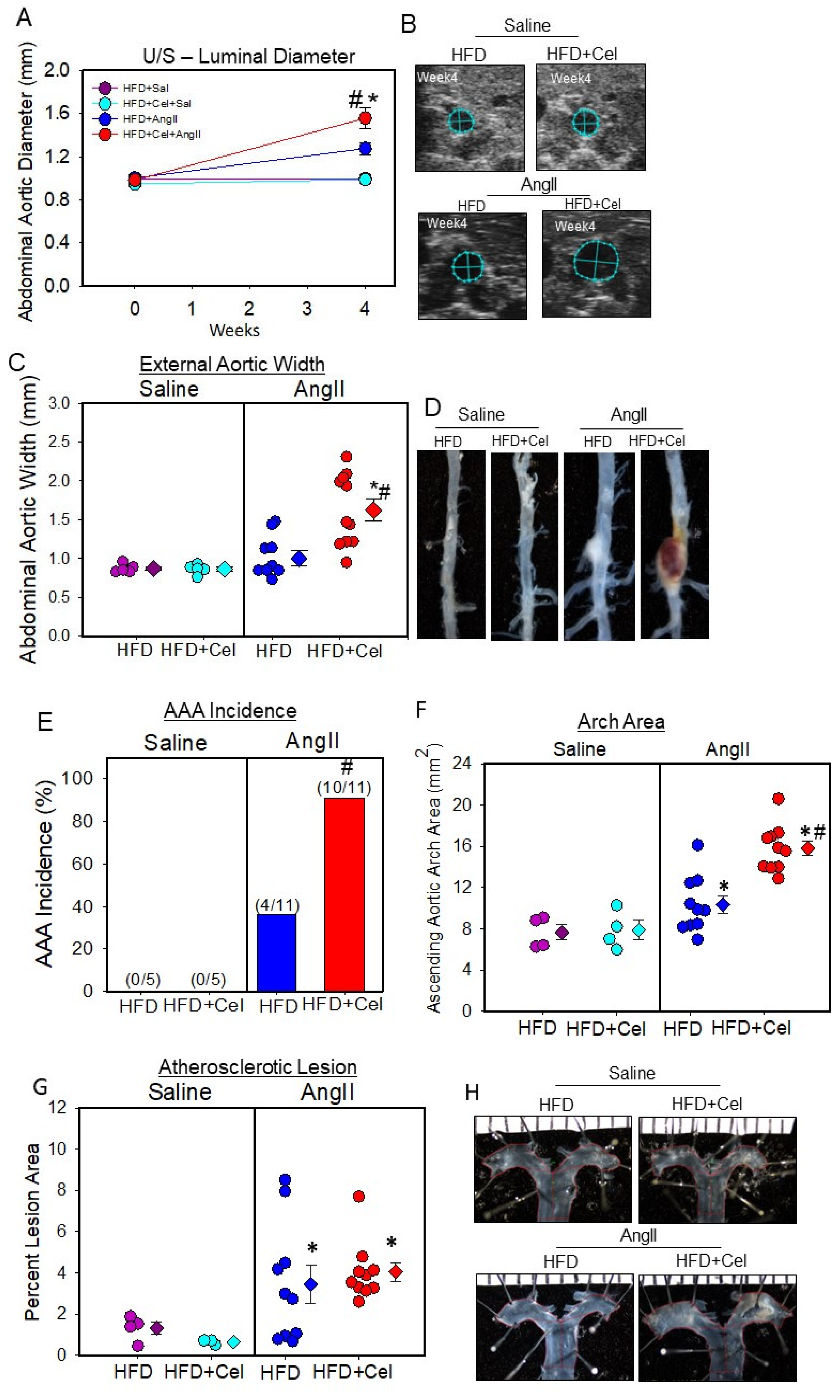 Biomolecules 13 00603 g002