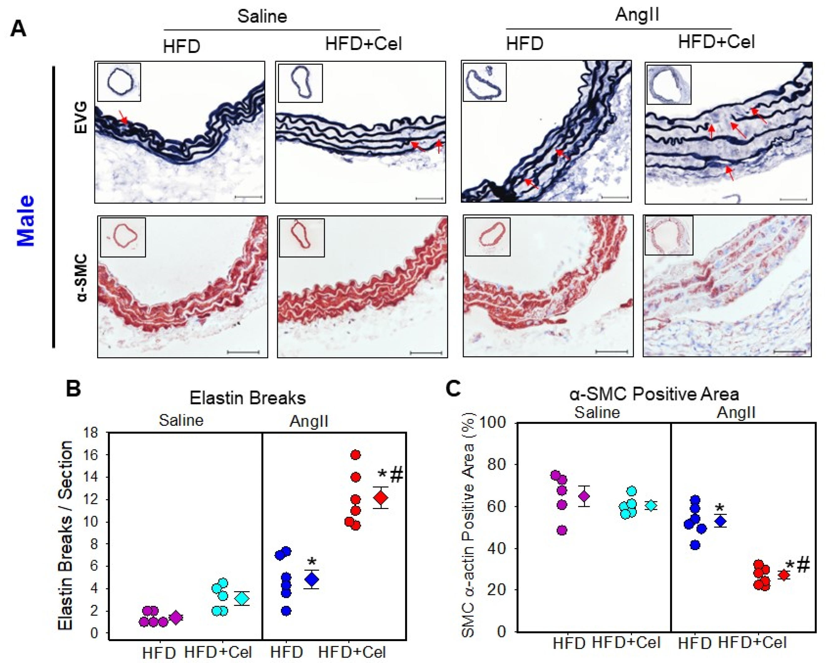 Biomolecules 13 00603 g004