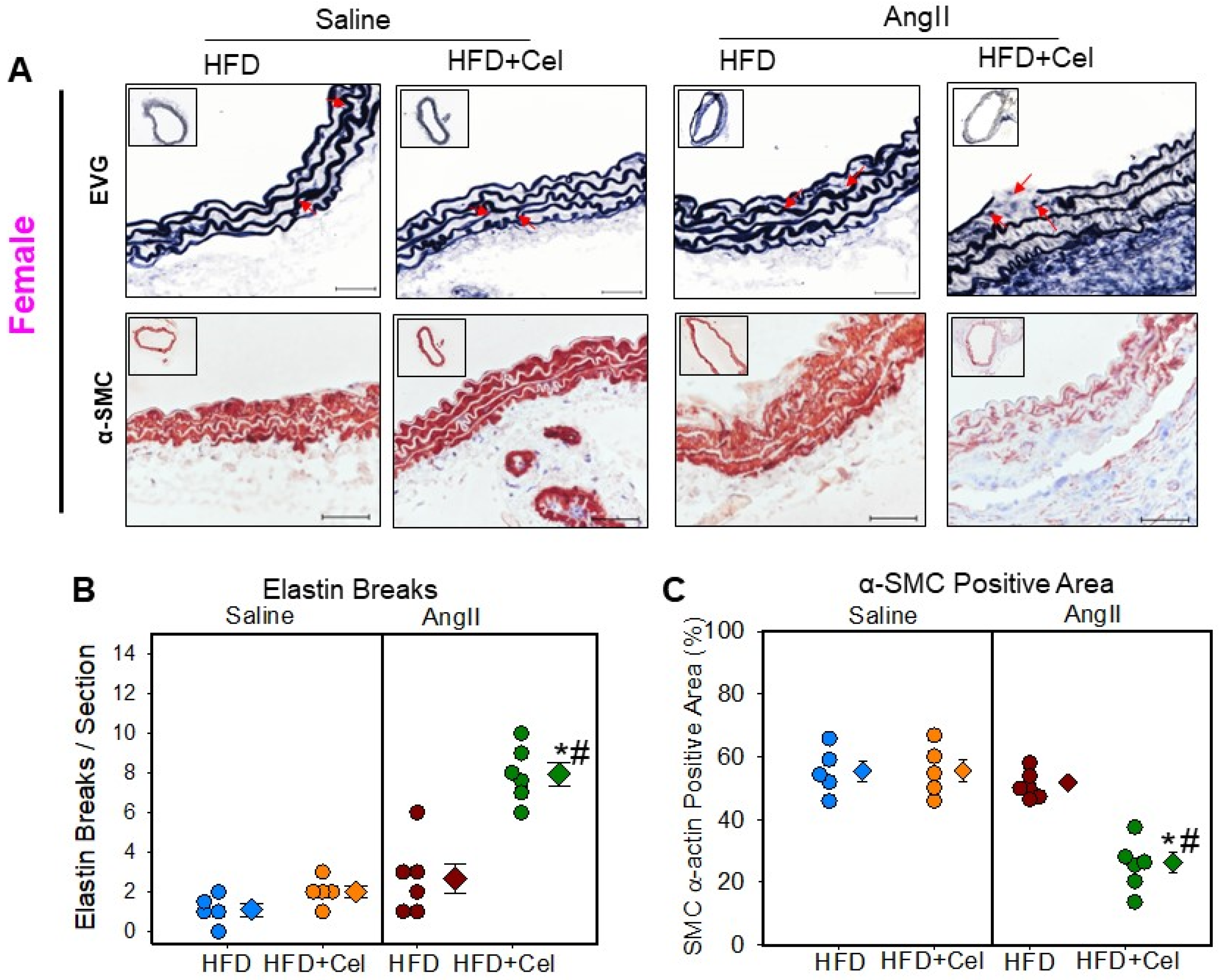 Biomolecules 13 00603 g005