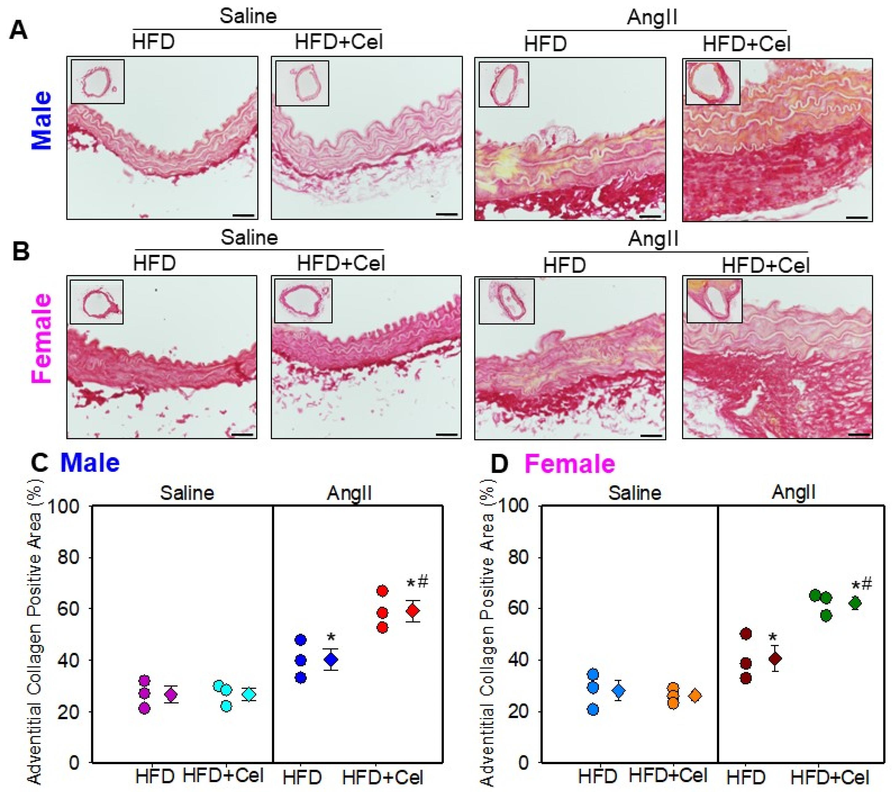 Biomolecules 13 00603 g006