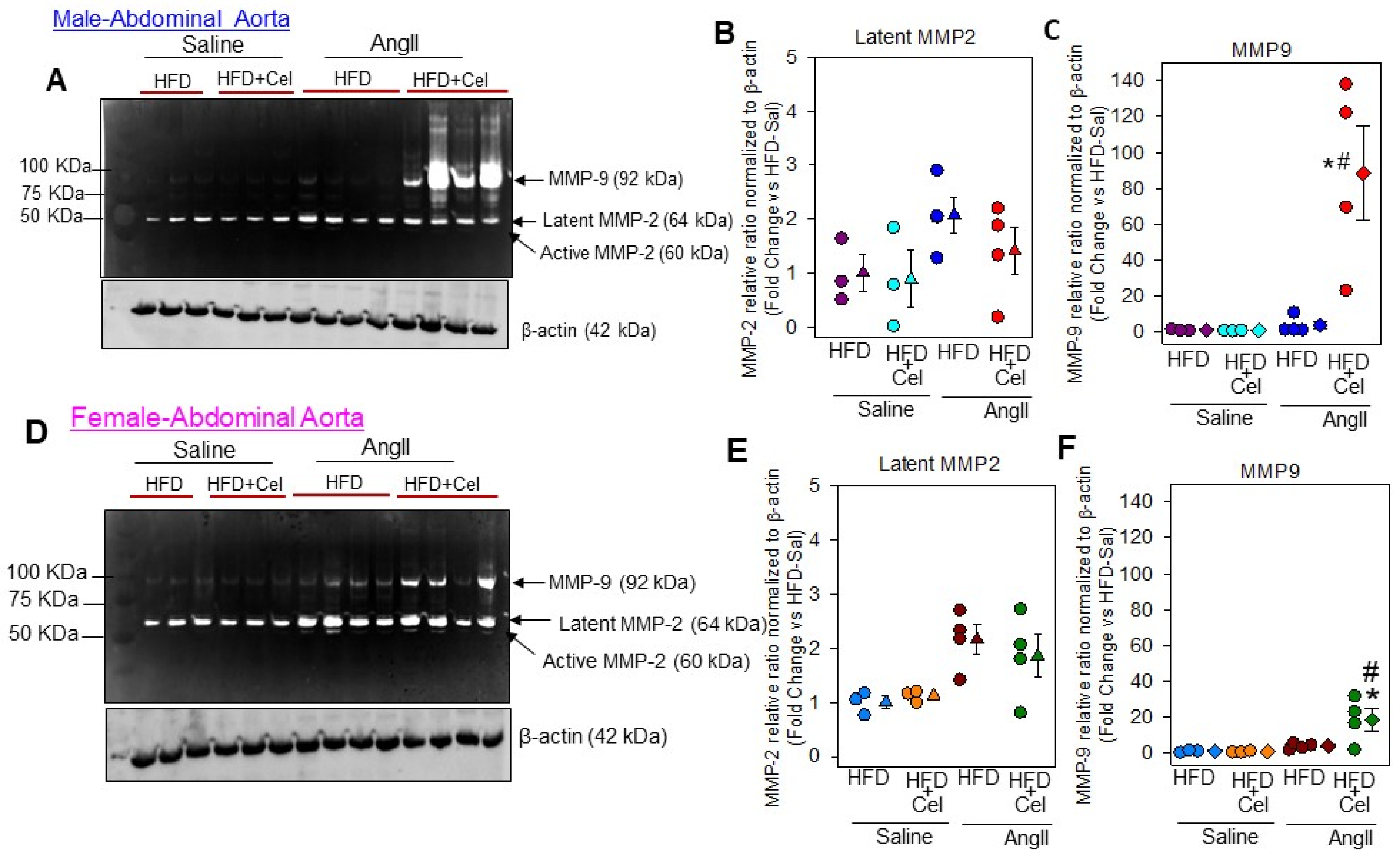 Biomolecules 13 00603 g007