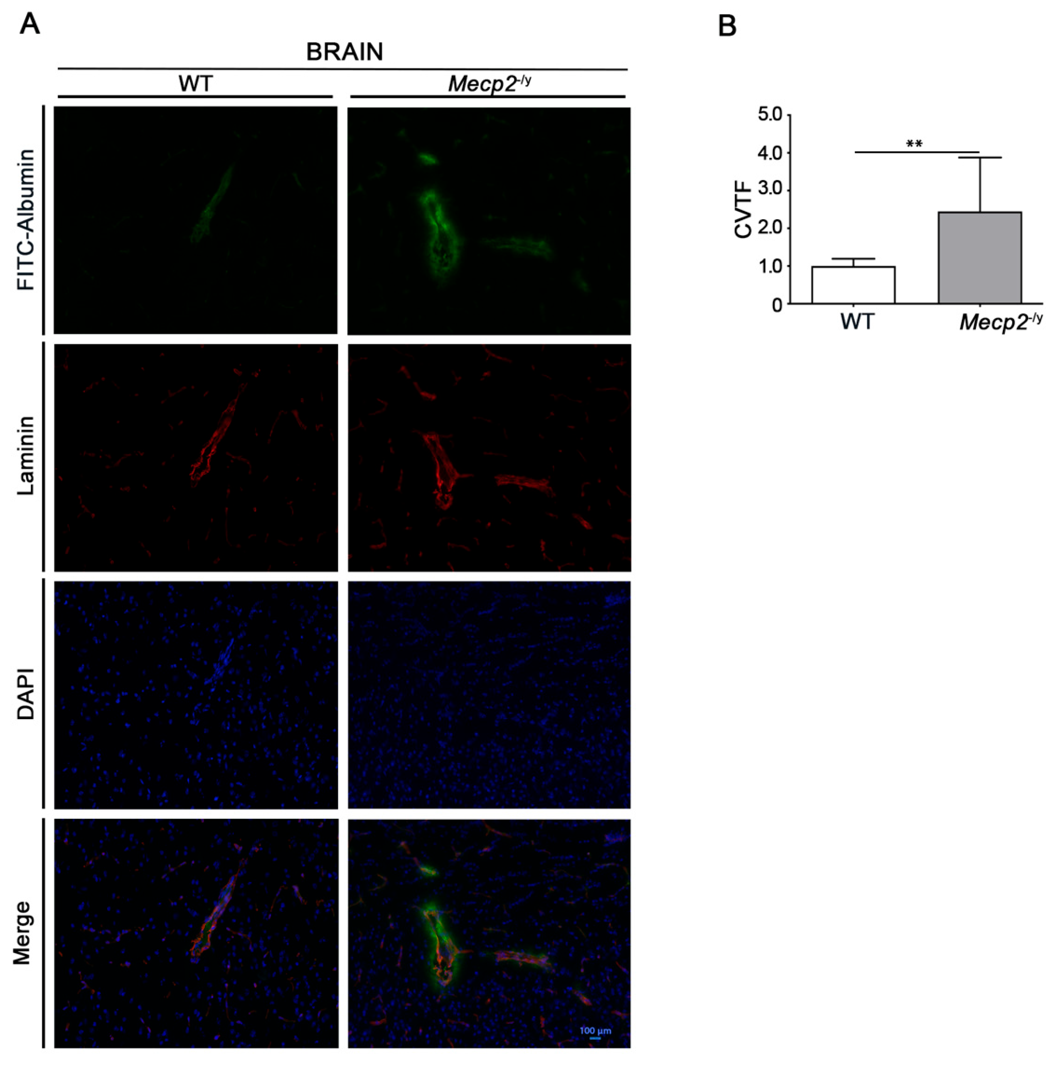 Biomolecules 13 00606 g001