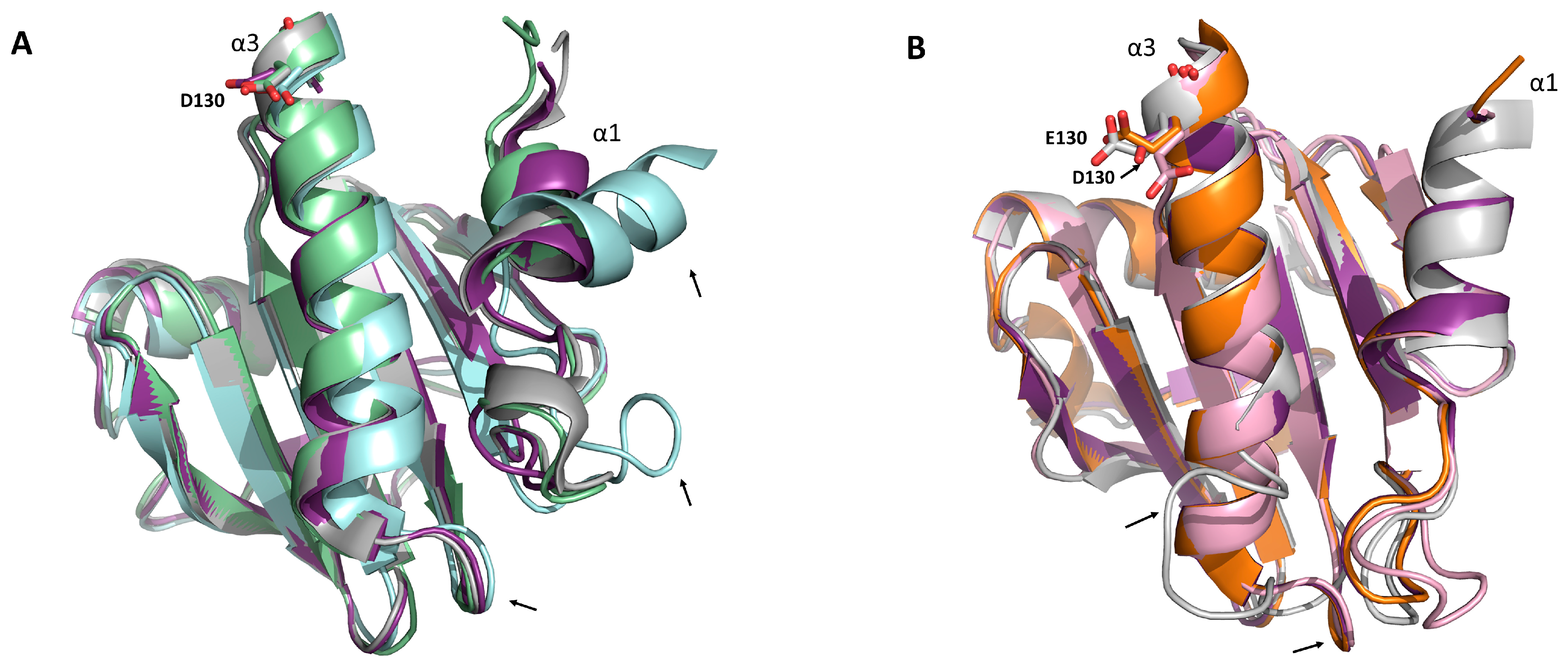 Biomolecules 13 00608 g005