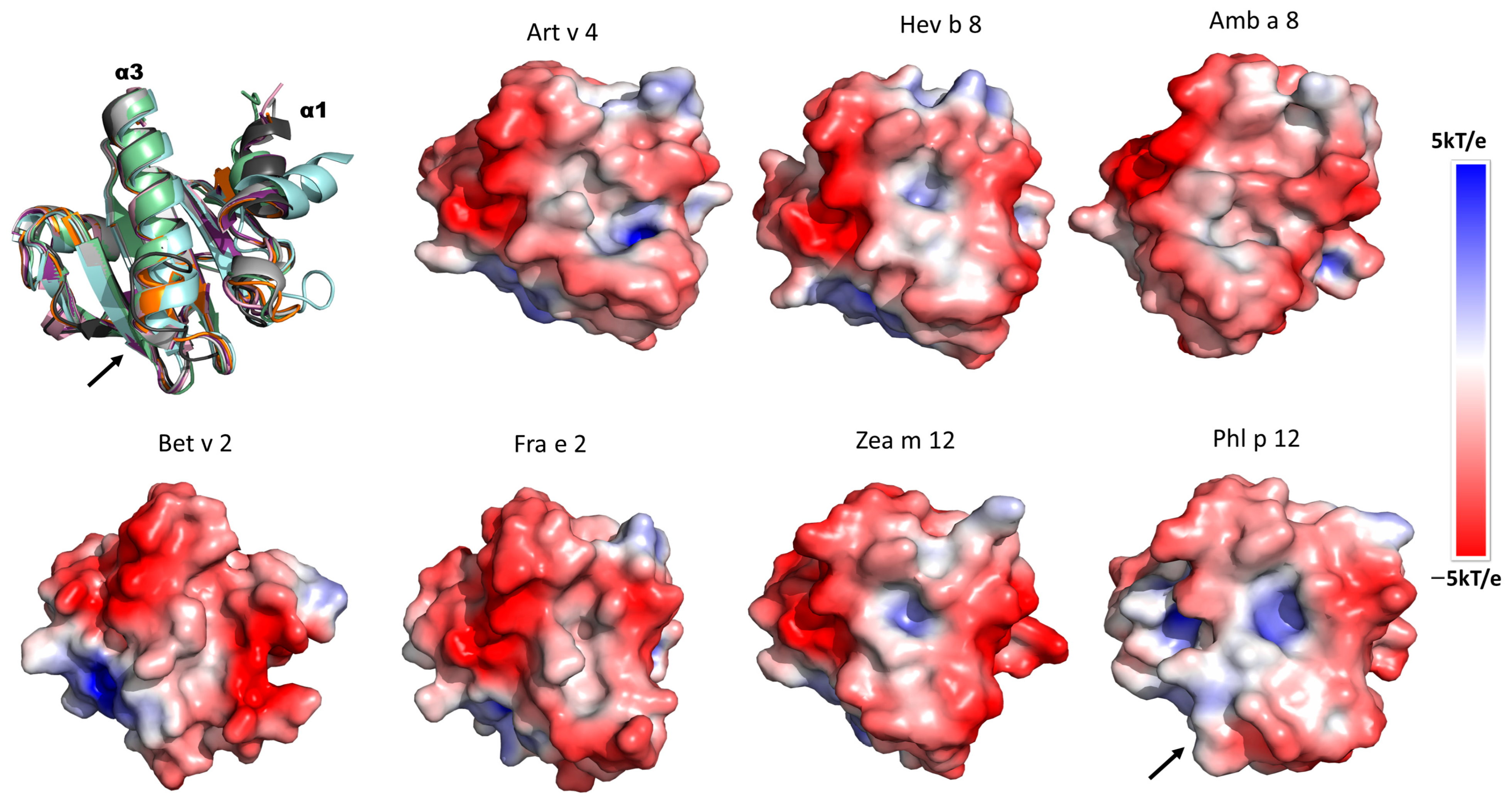 Biomolecules 13 00608 g006