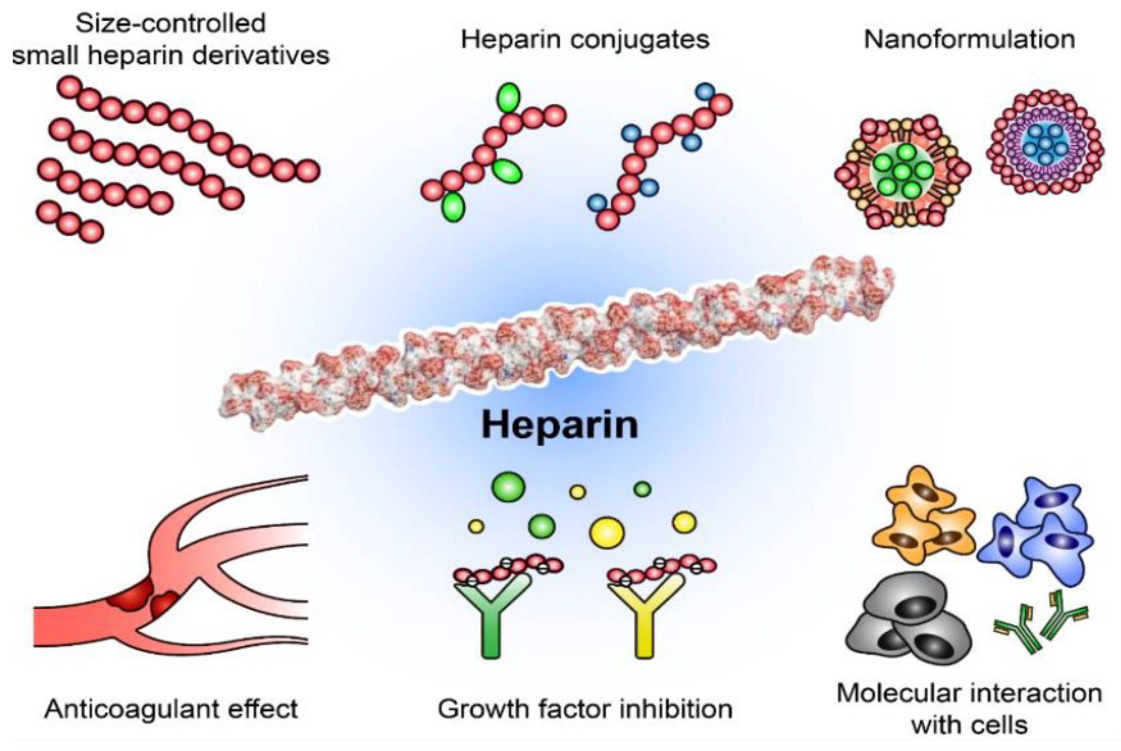 Biomolecules 13 00609 g002 Biomolecules 13 00609 g002