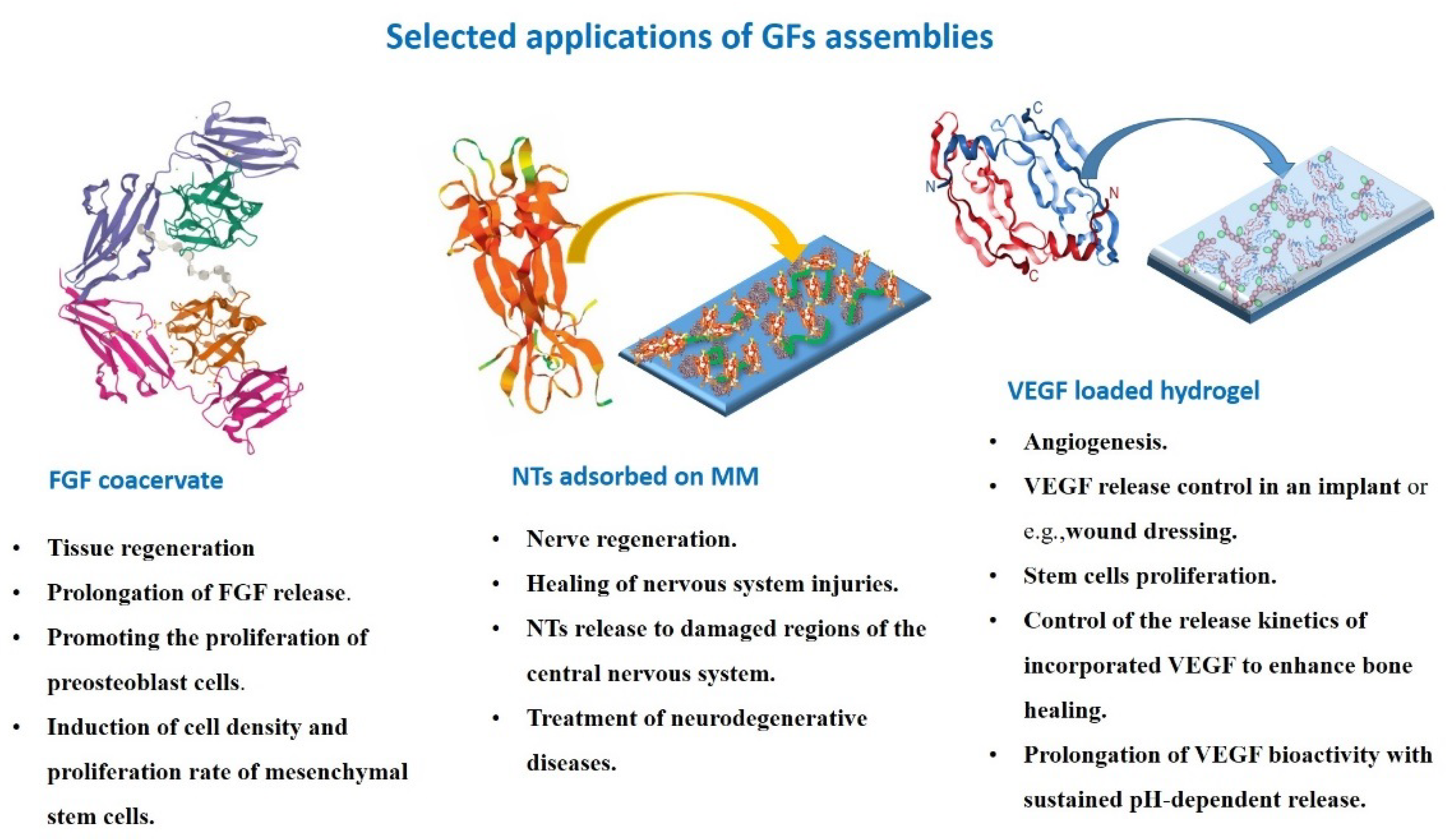 Biomolecules 13 00609 g005 Biomolecules 13 00609 g005