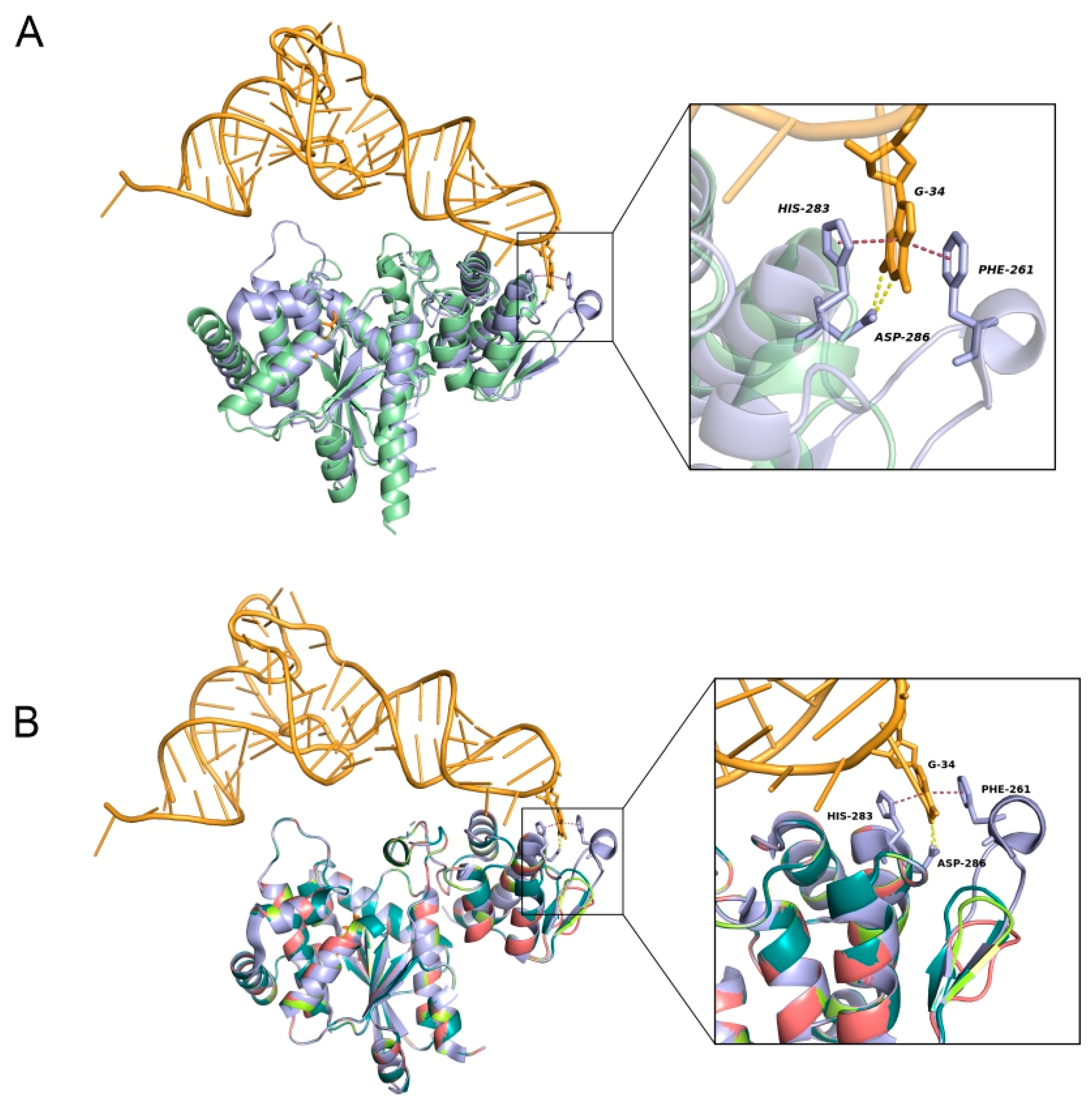 Biomolecules 13 00610 g004