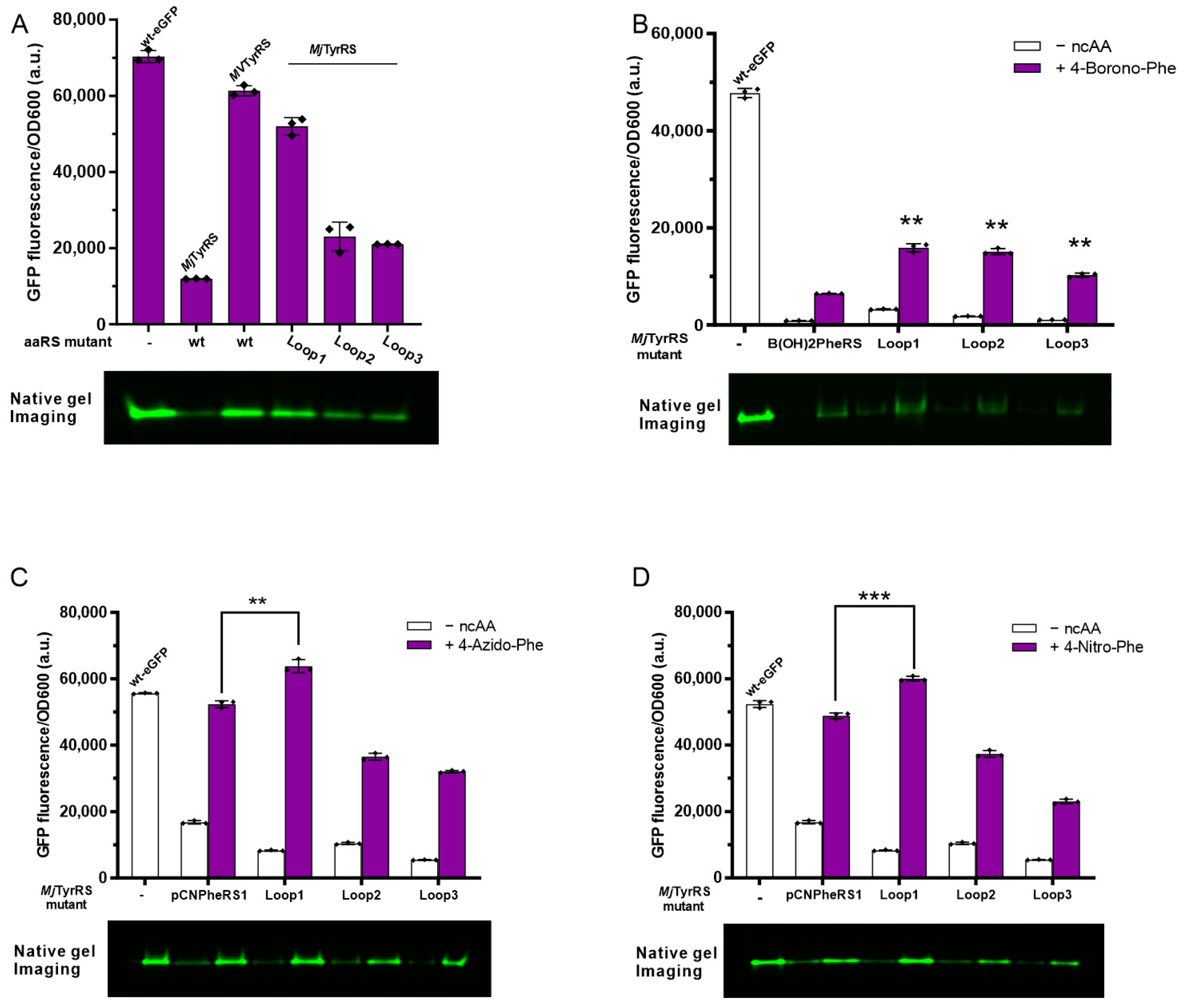 Biomolecules 13 00610 g005