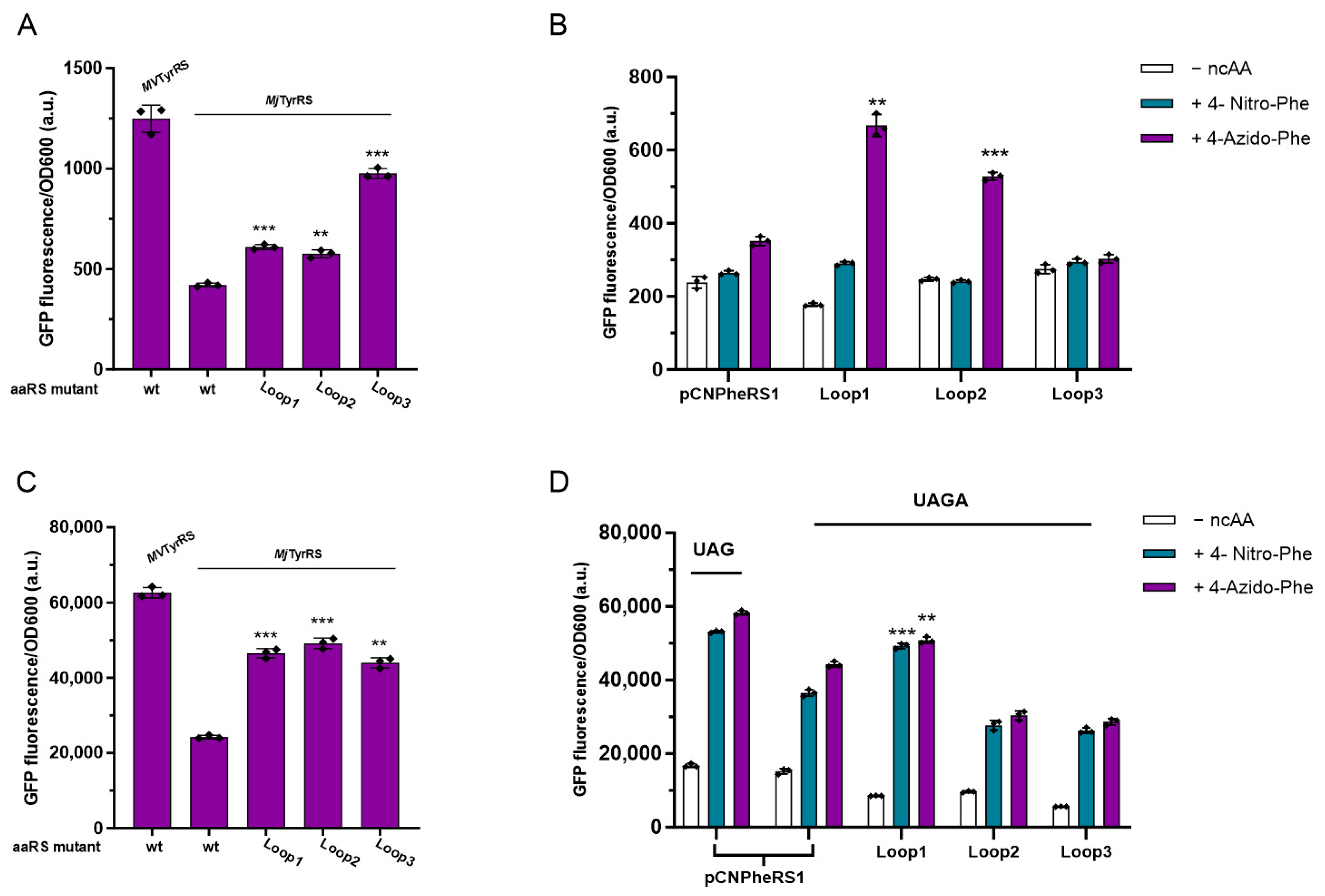 Biomolecules 13 00610 g006