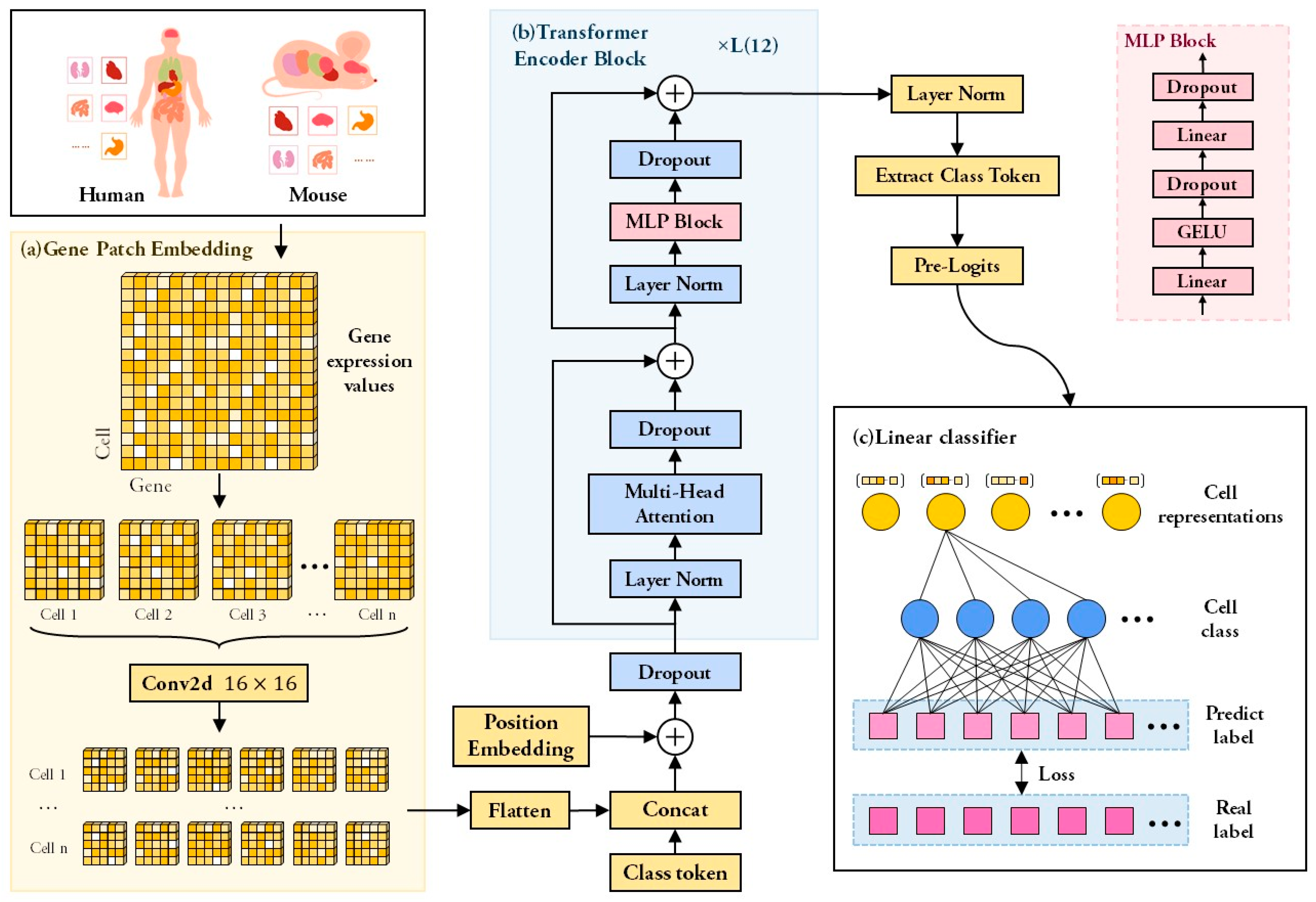 Biomolecules 13 00611 g001