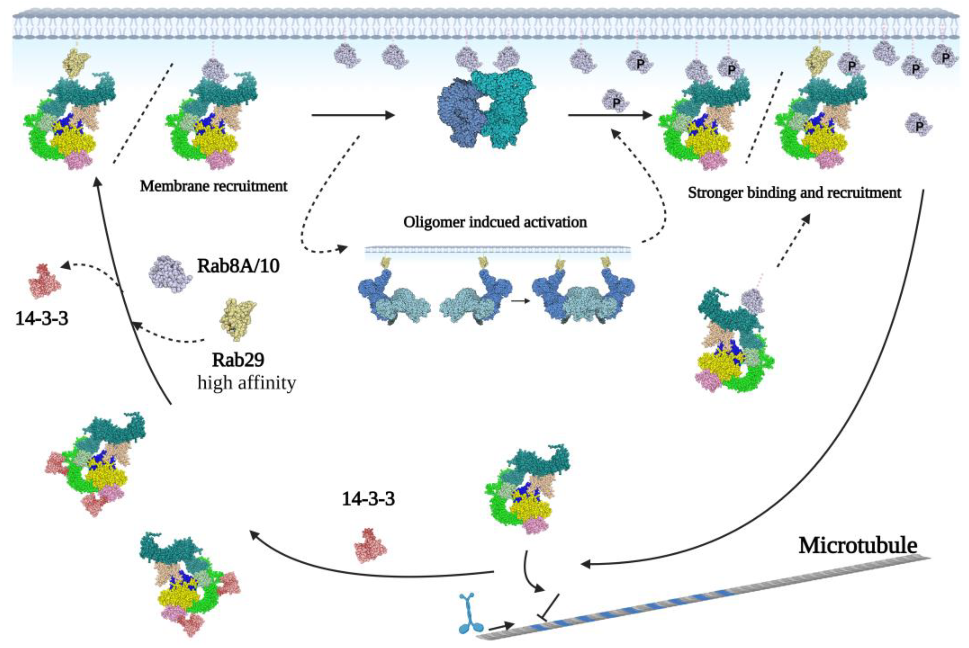 Biomolecules 13 00612 g005
