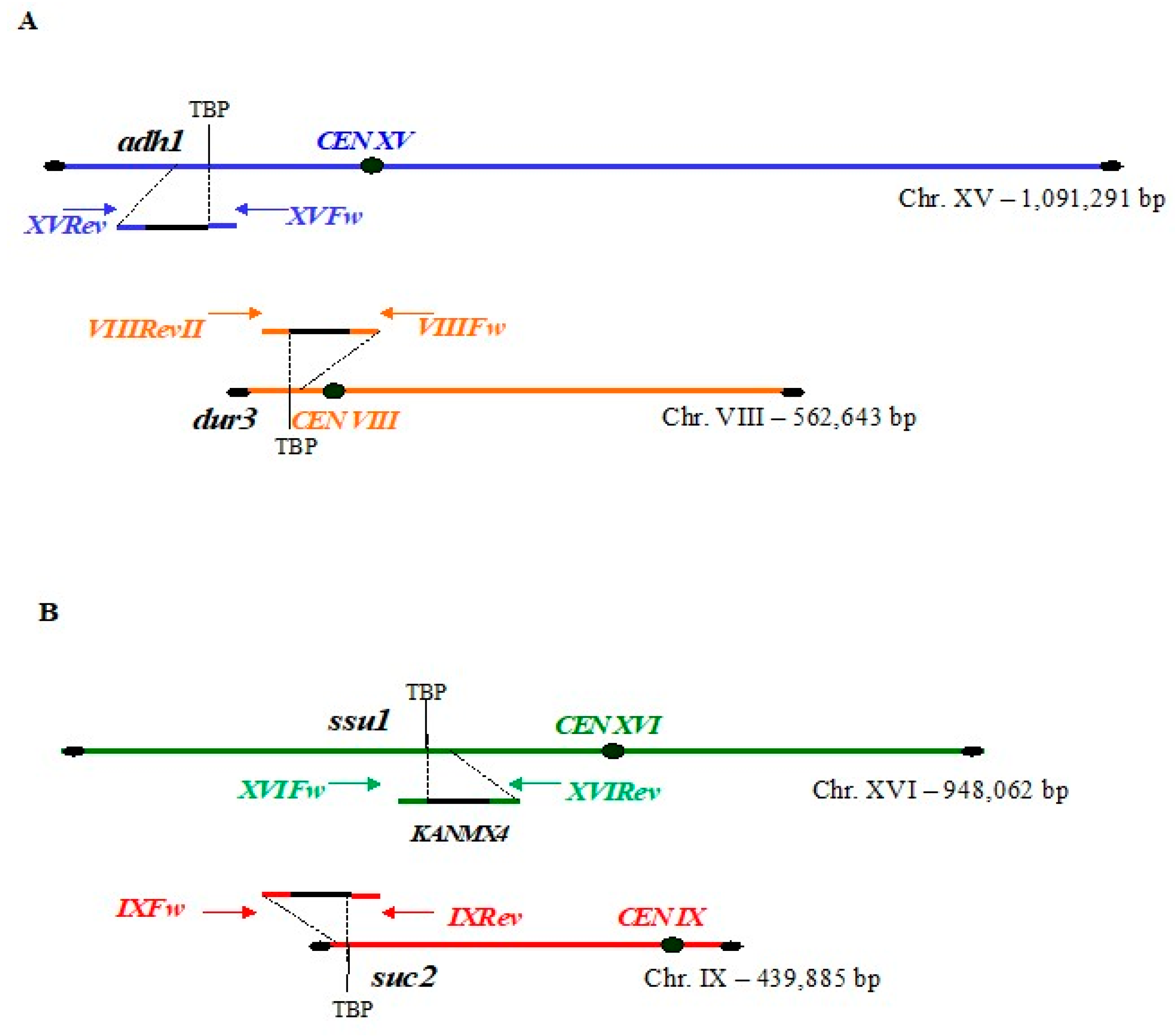 Biomolecules 13 00614 g003 Biomolecules 13 00614 g003