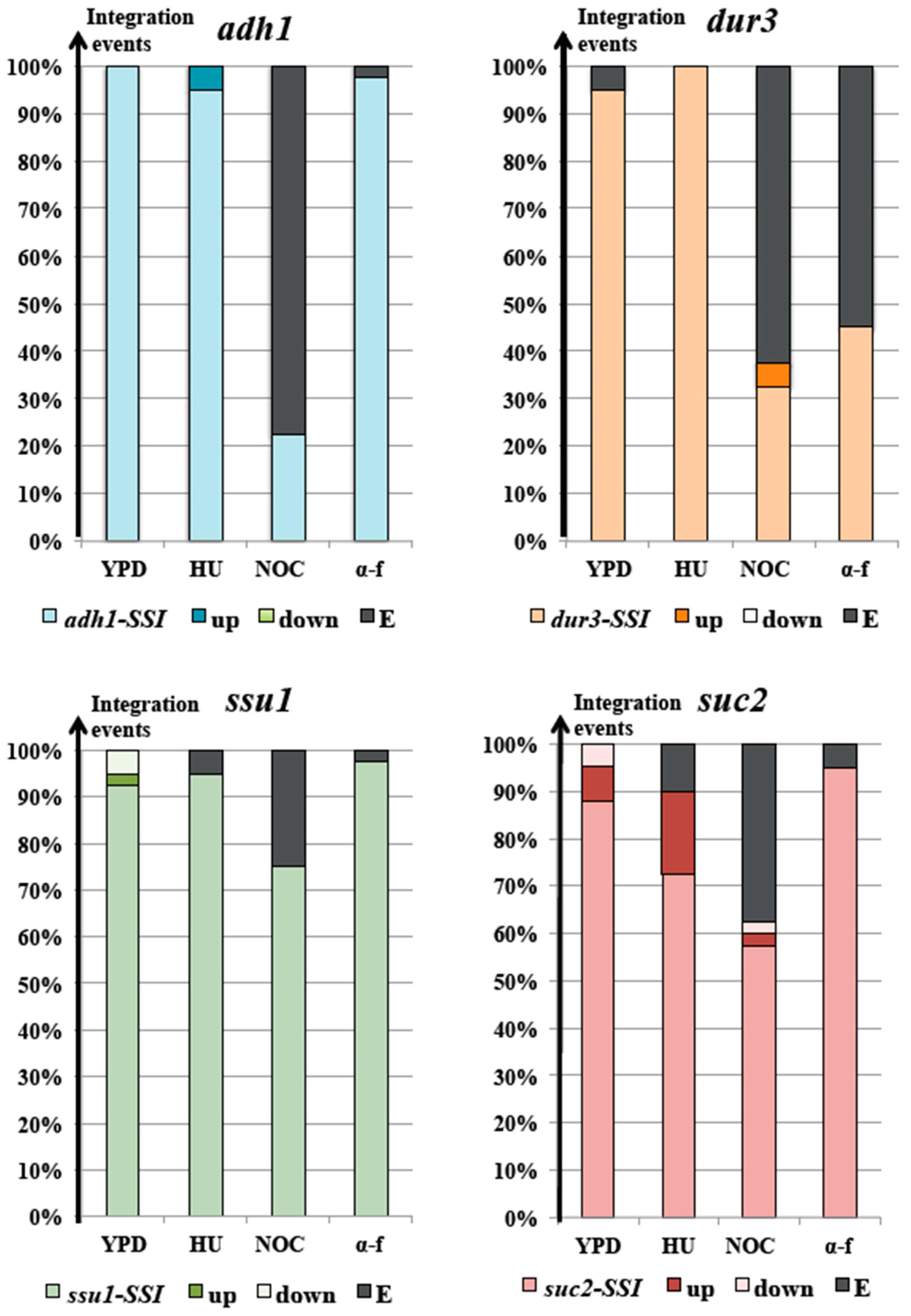 Biomolecules 13 00614 g005 Biomolecules 13 00614 g005
