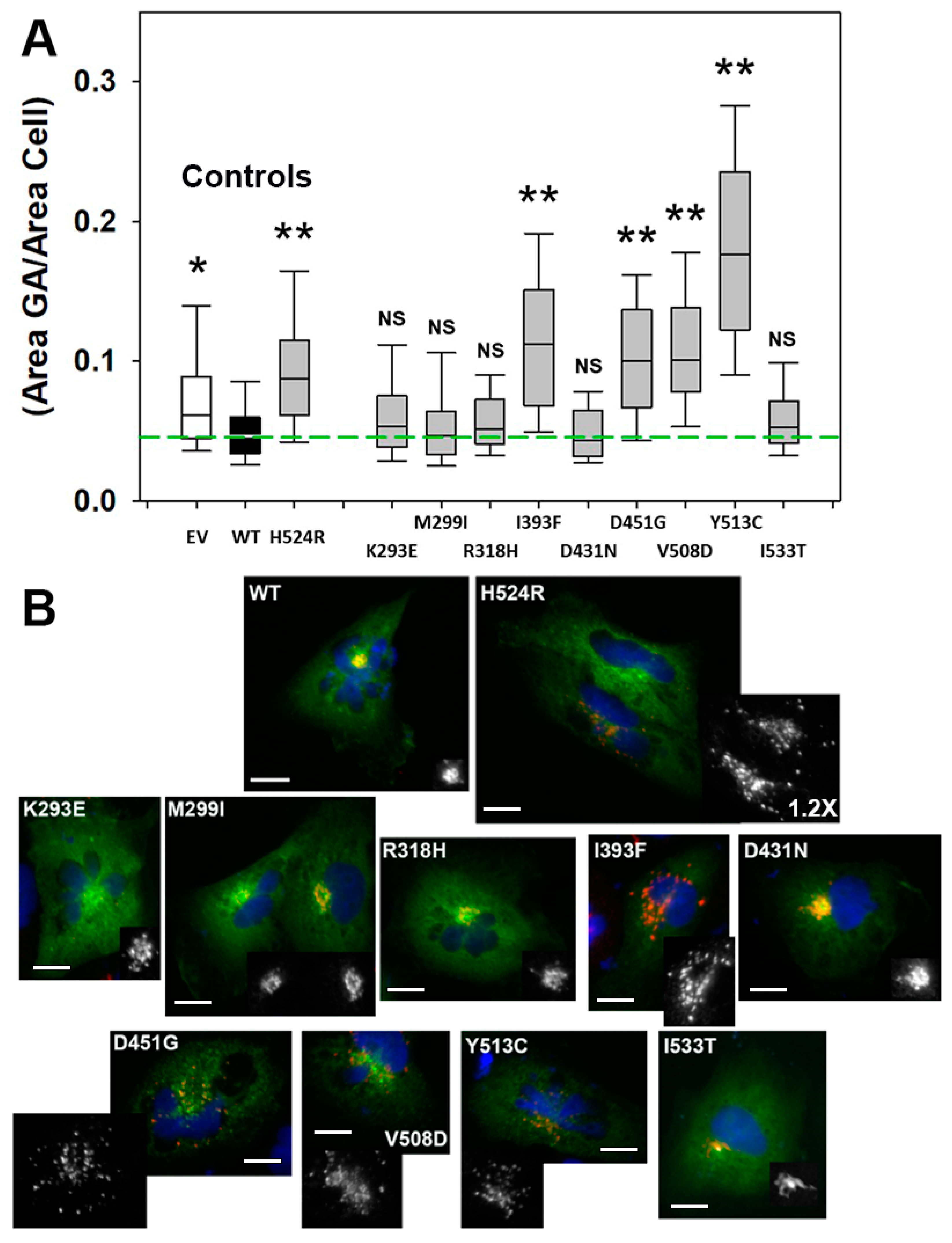 Biomolecules 13 00615 g004