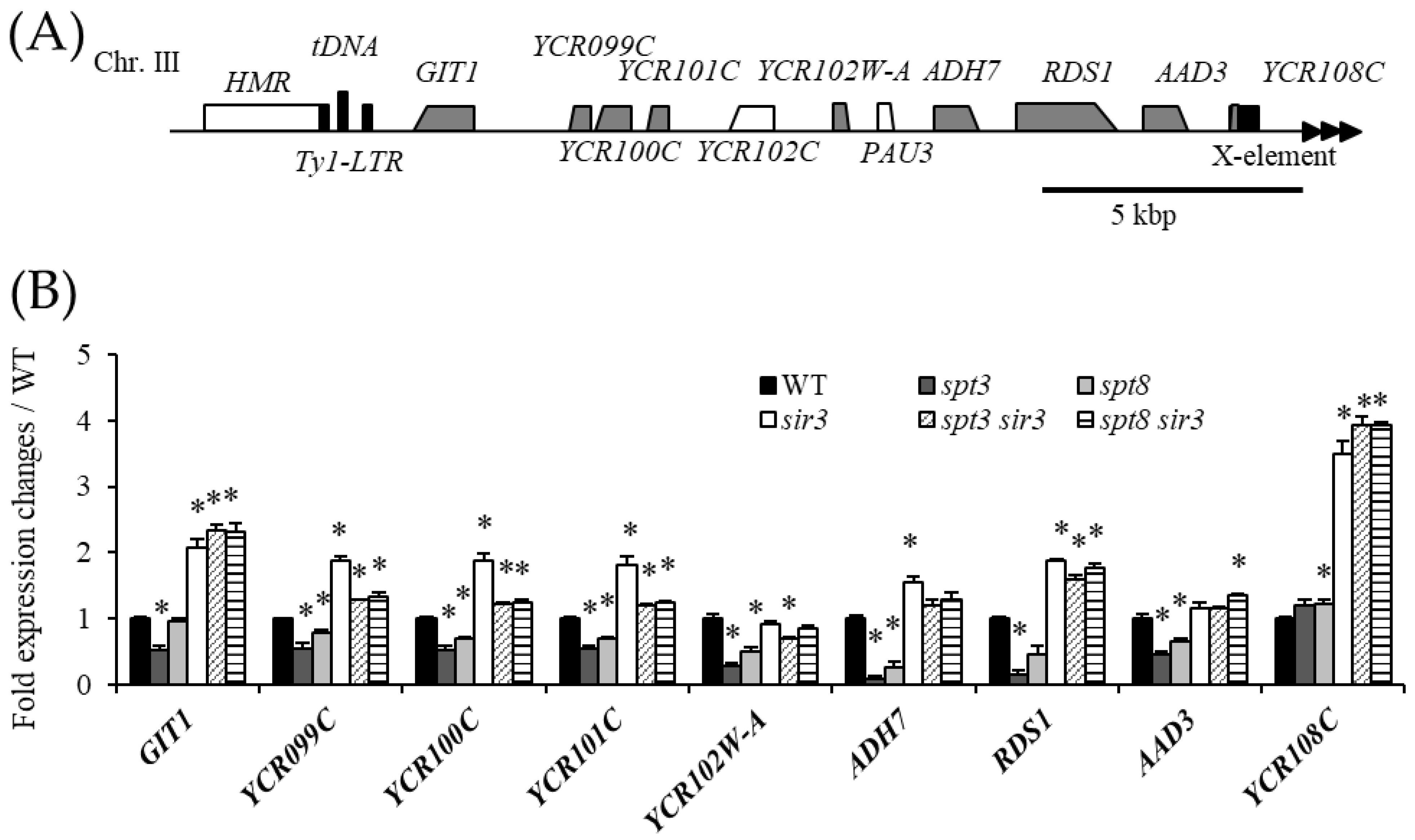 Biomolecules 13 00619 g003