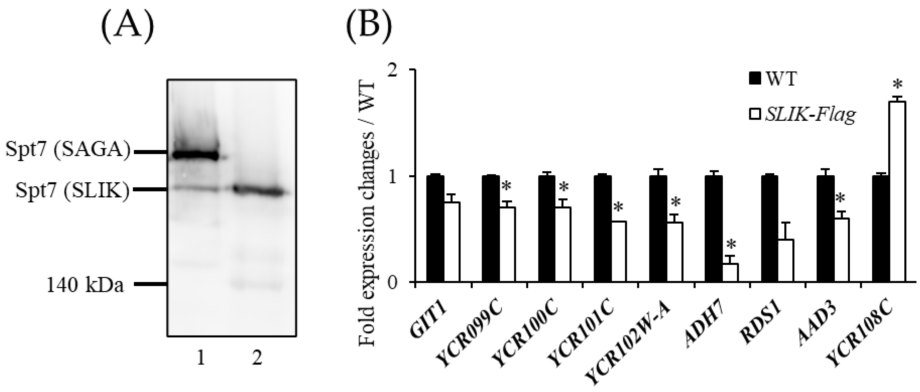 Biomolecules 13 00619 g006