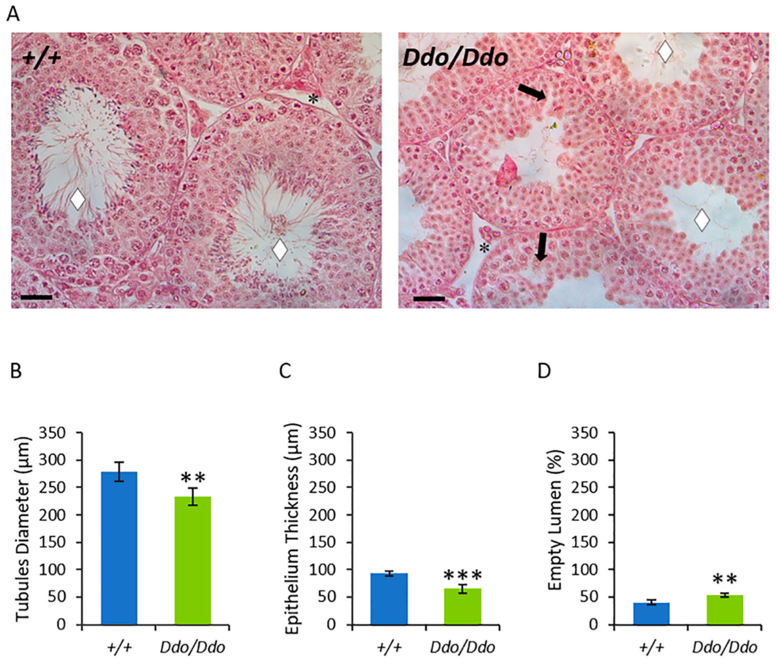 Biomolecules 13 00621 g002