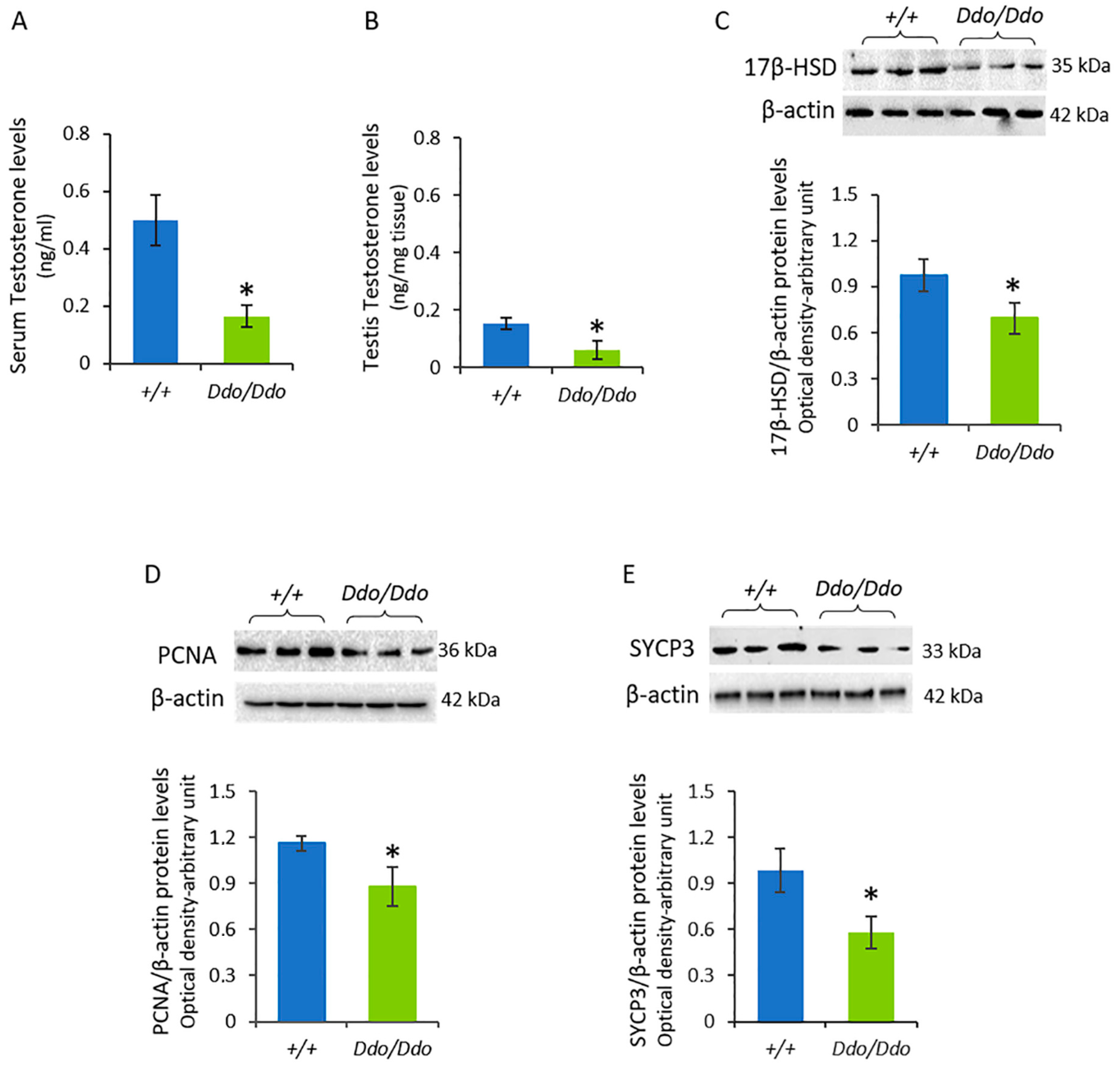 Biomolecules 13 00621 g003