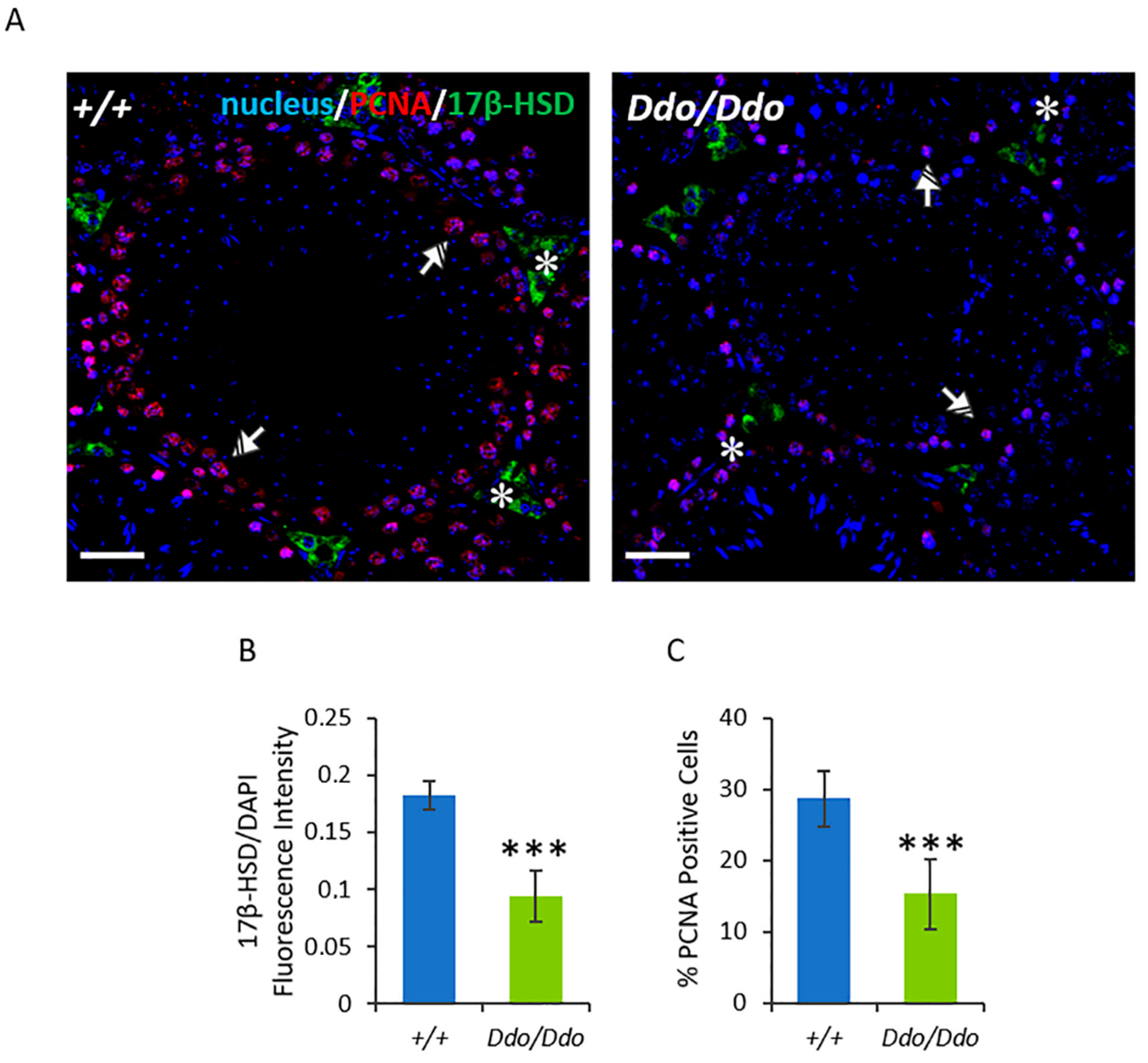 Biomolecules 13 00621 g004