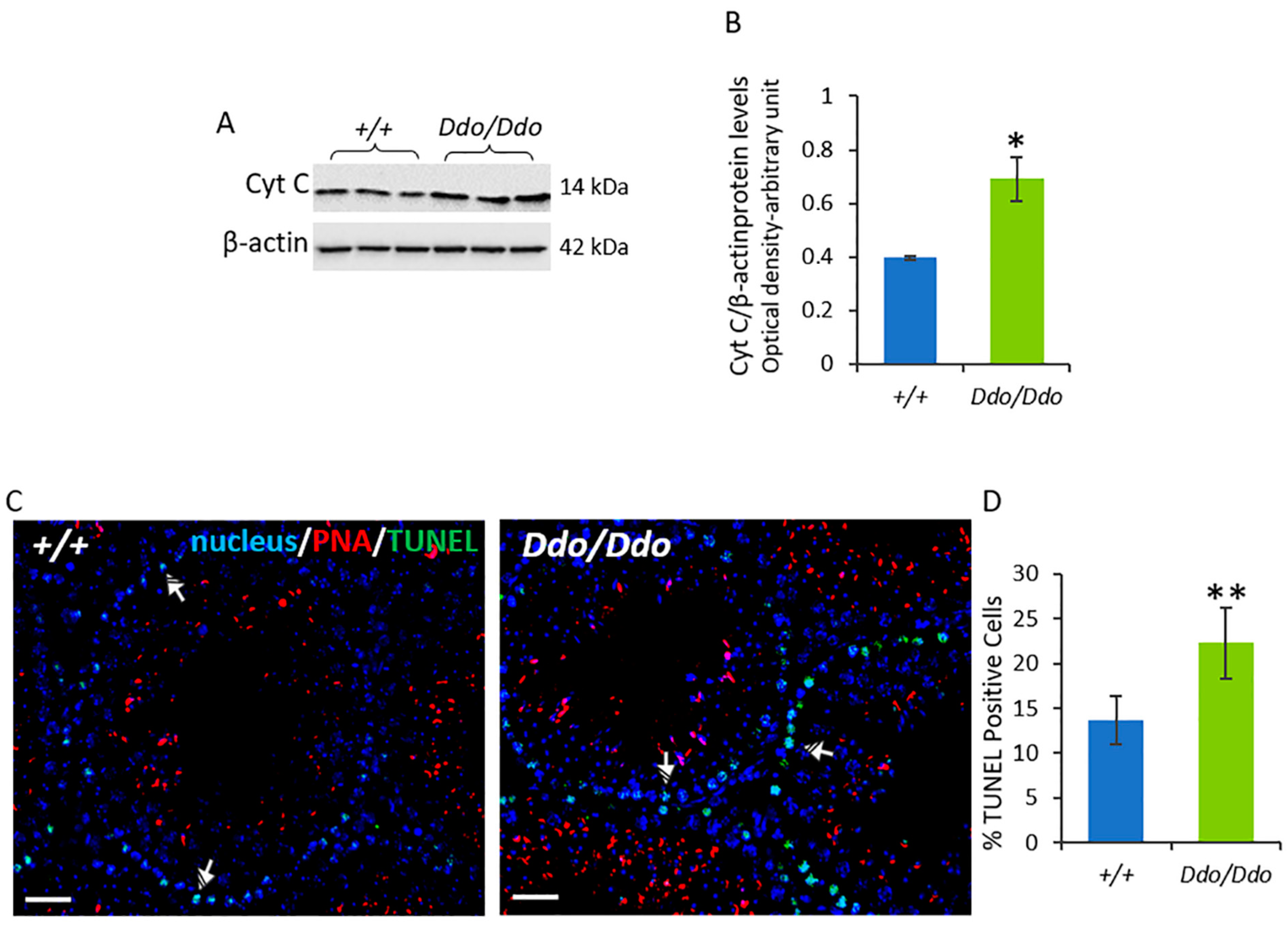 Biomolecules 13 00621 g005