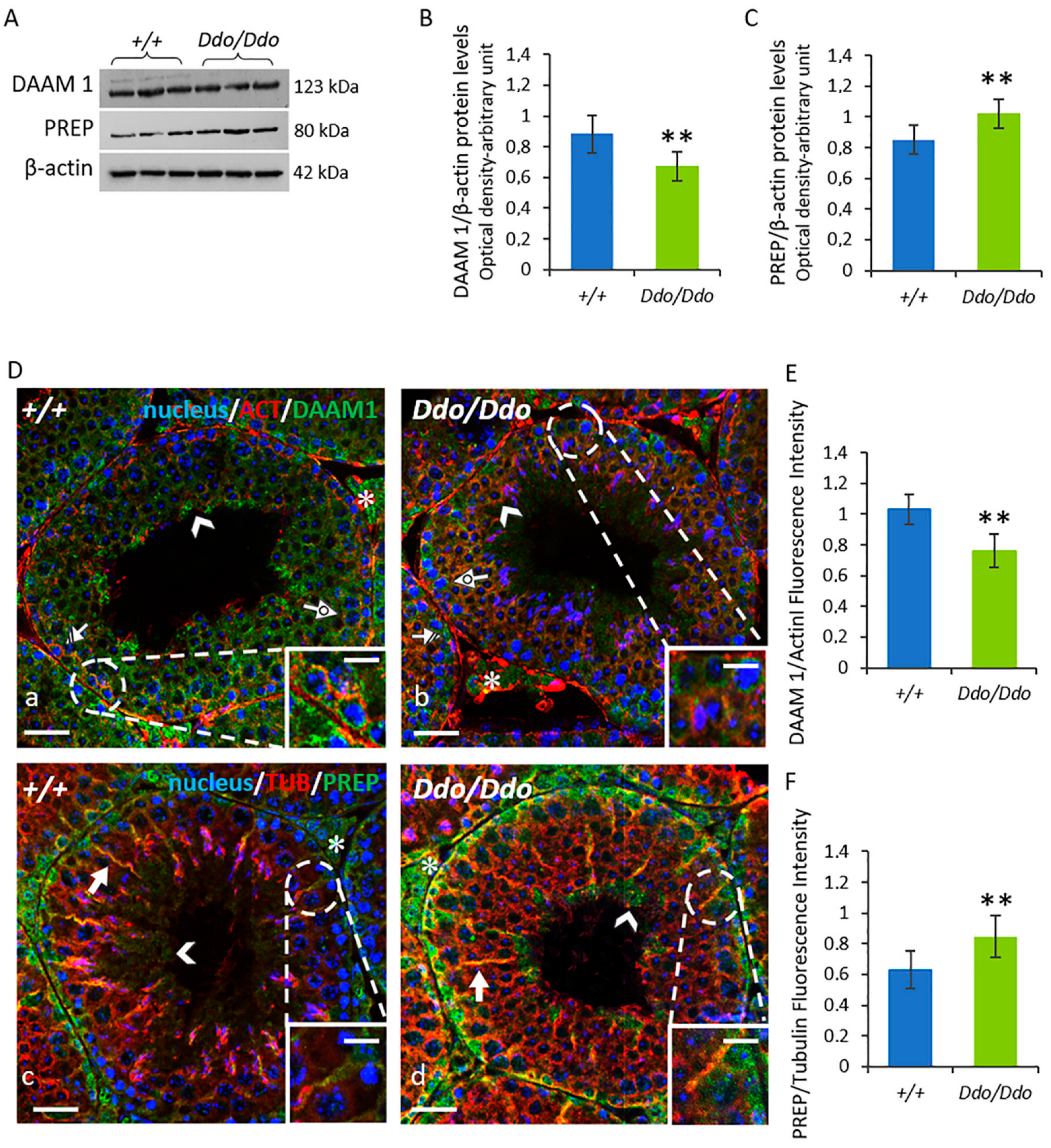 Biomolecules 13 00621 g006