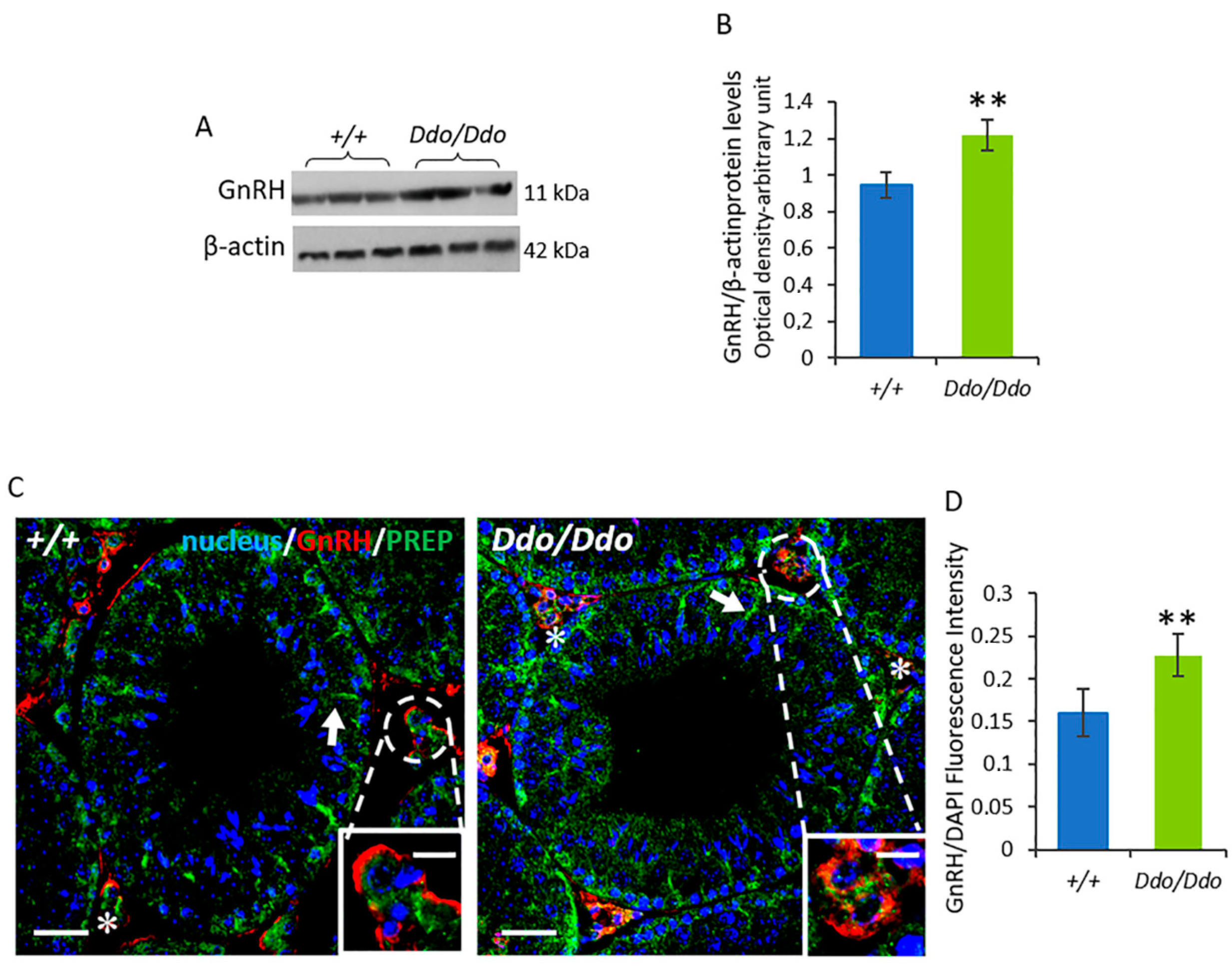 Biomolecules 13 00621 g007
