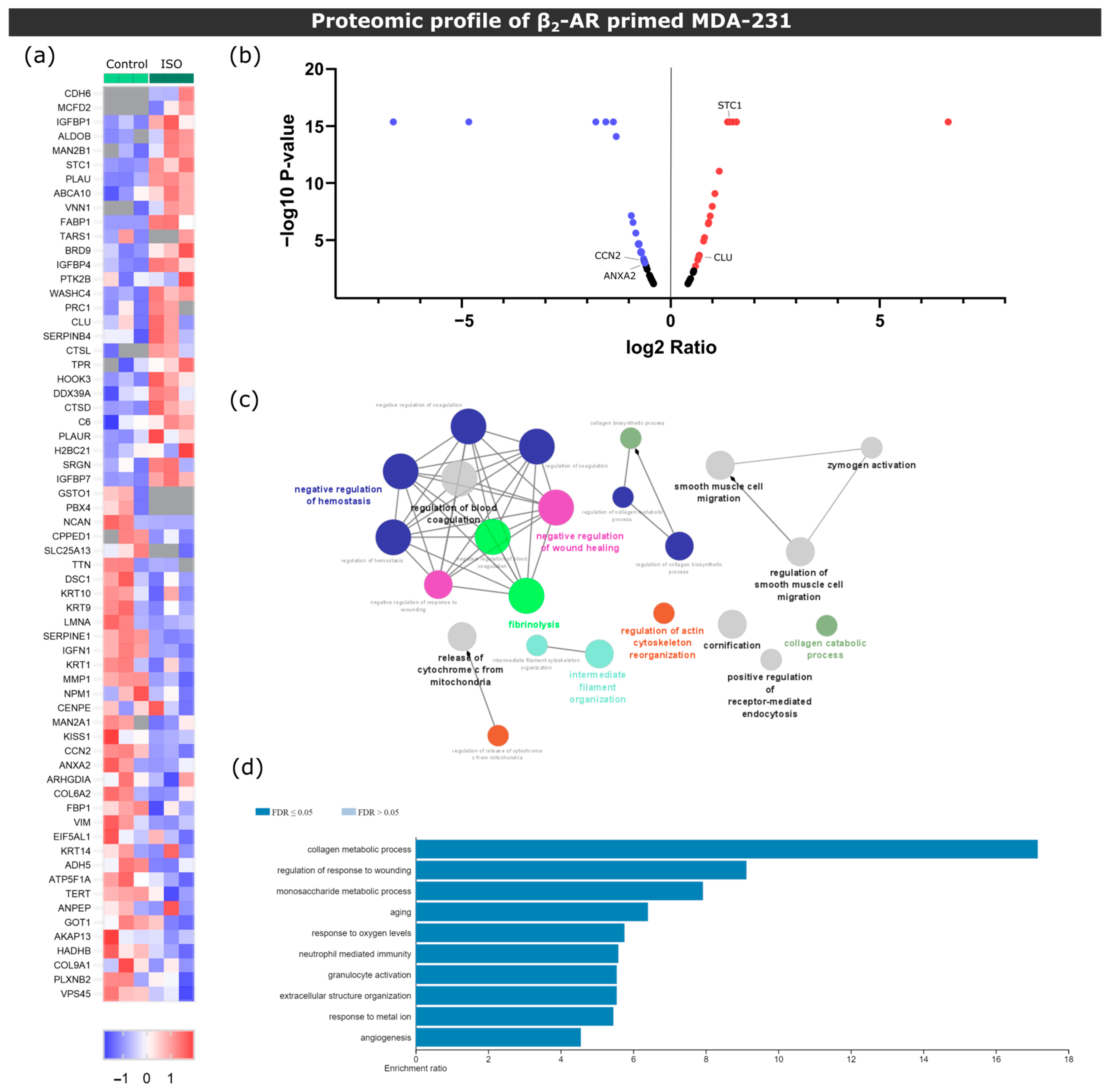 Biomolecules 13 00622 g002