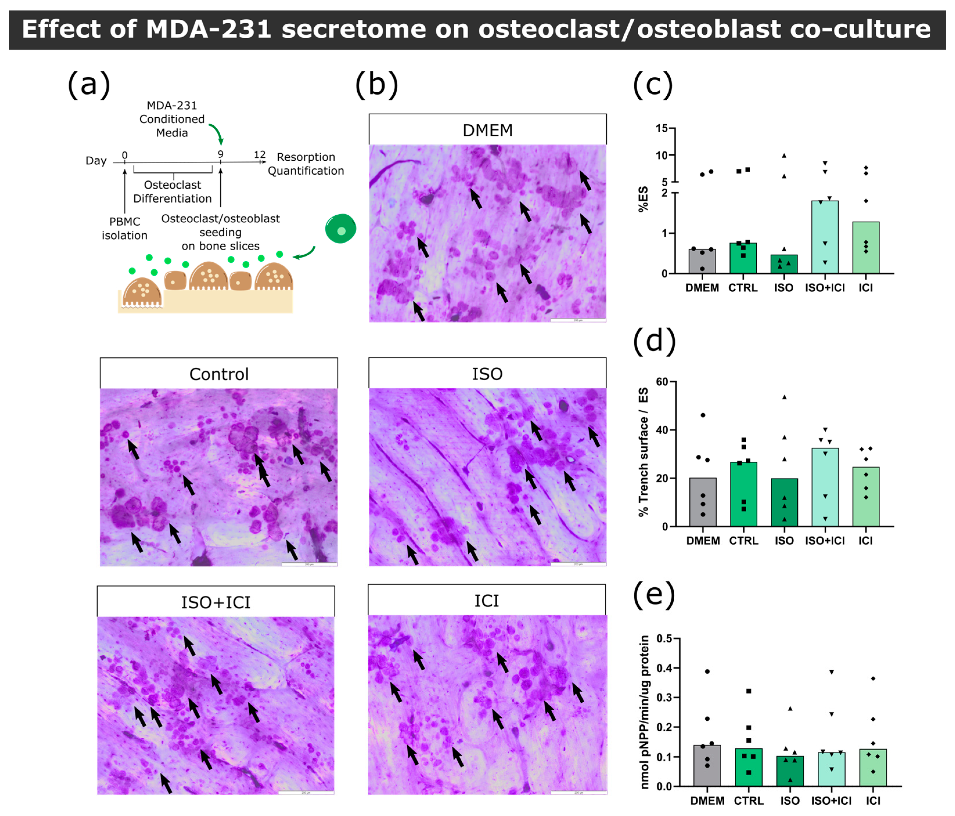 Biomolecules 13 00622 g004