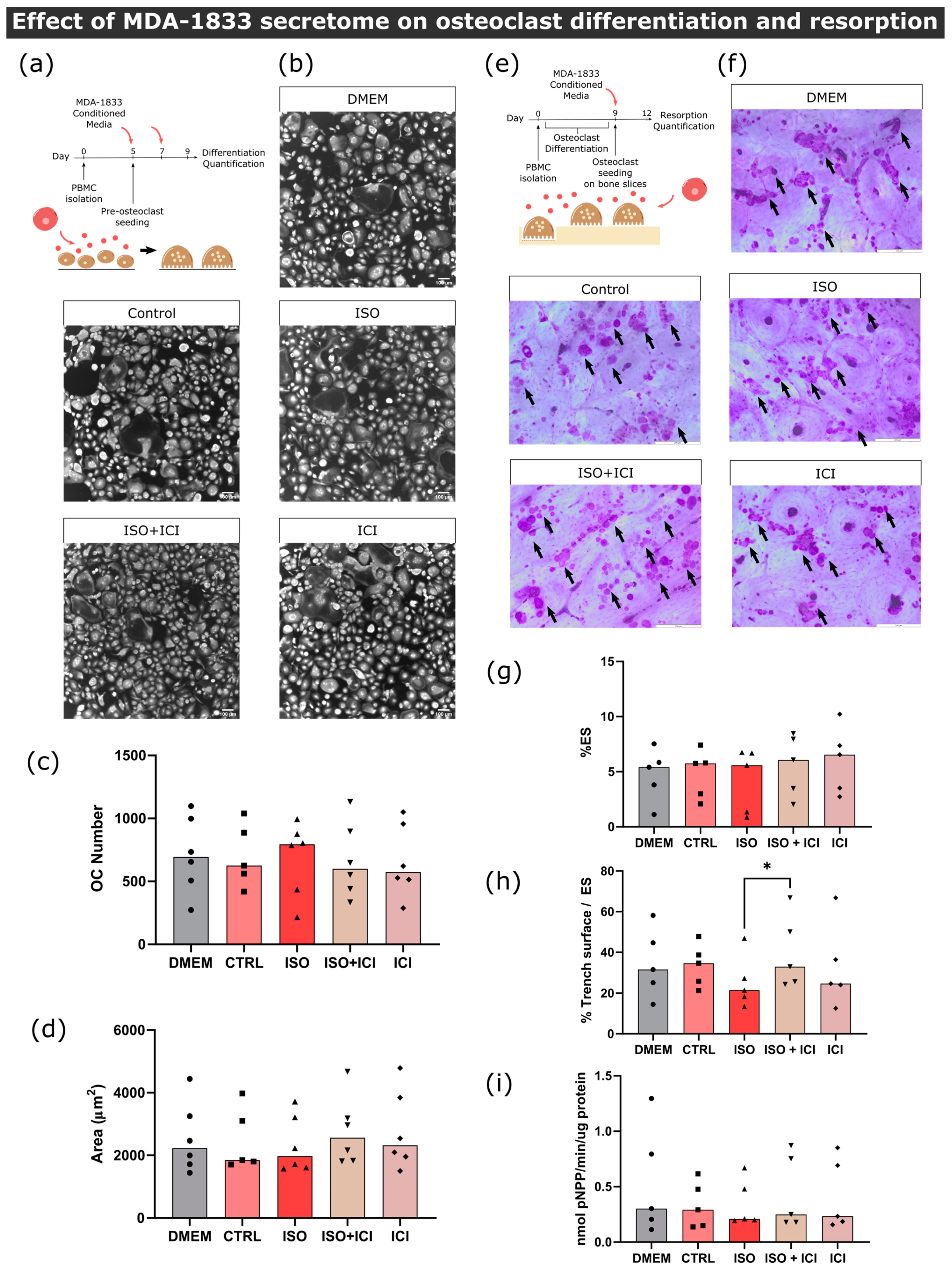 Biomolecules 13 00622 g005