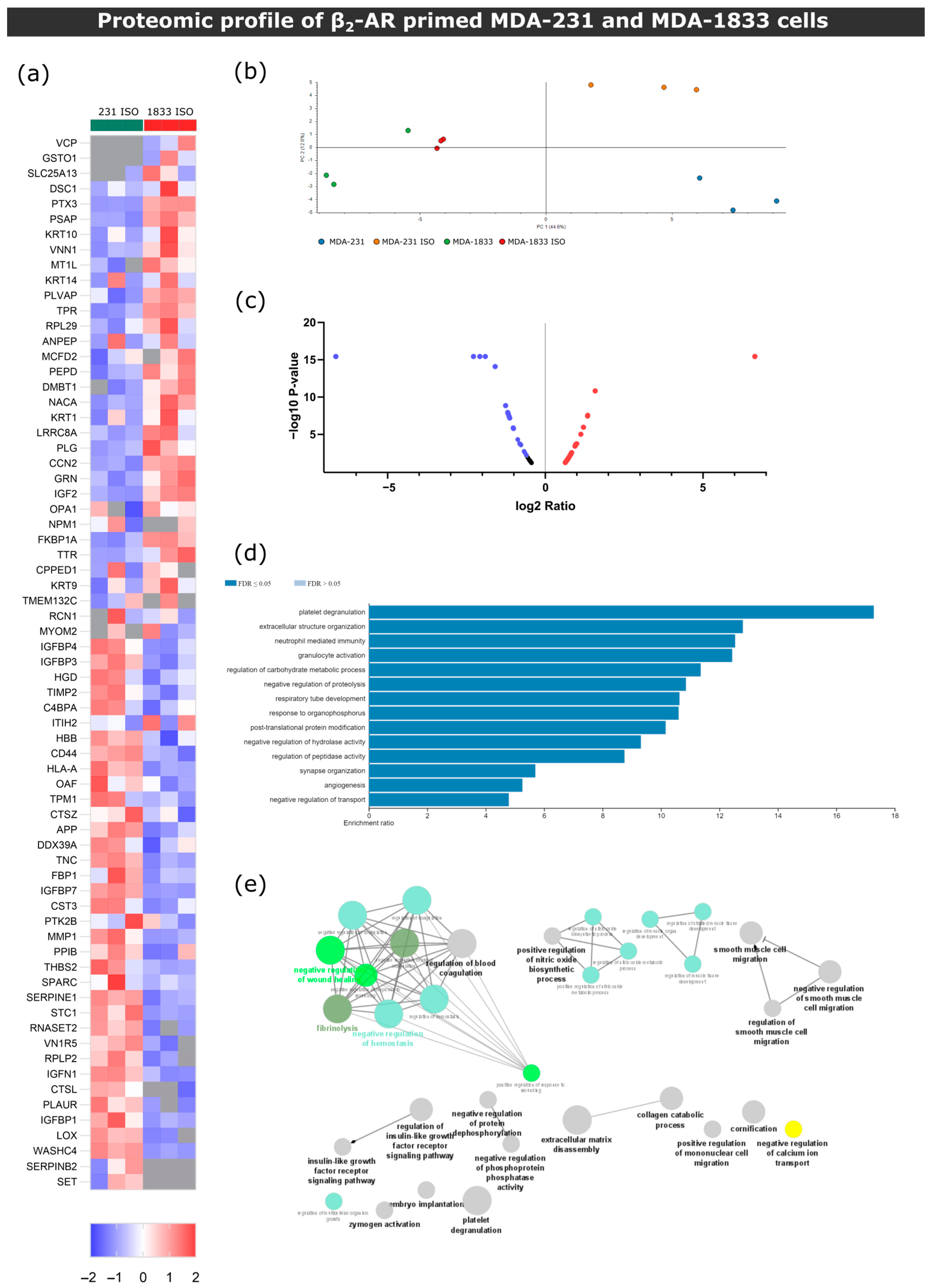 Biomolecules 13 00622 g007