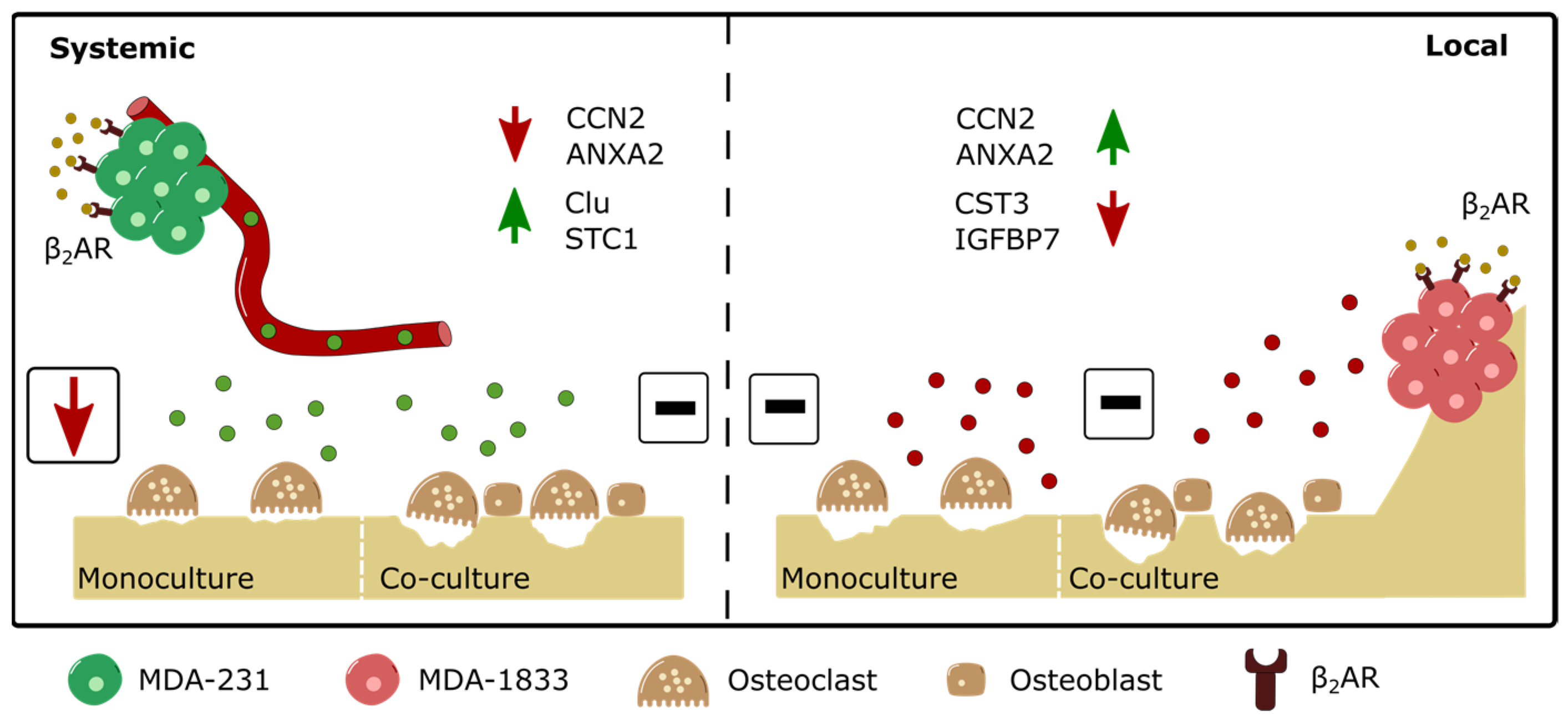 Biomolecules 13 00622 g008