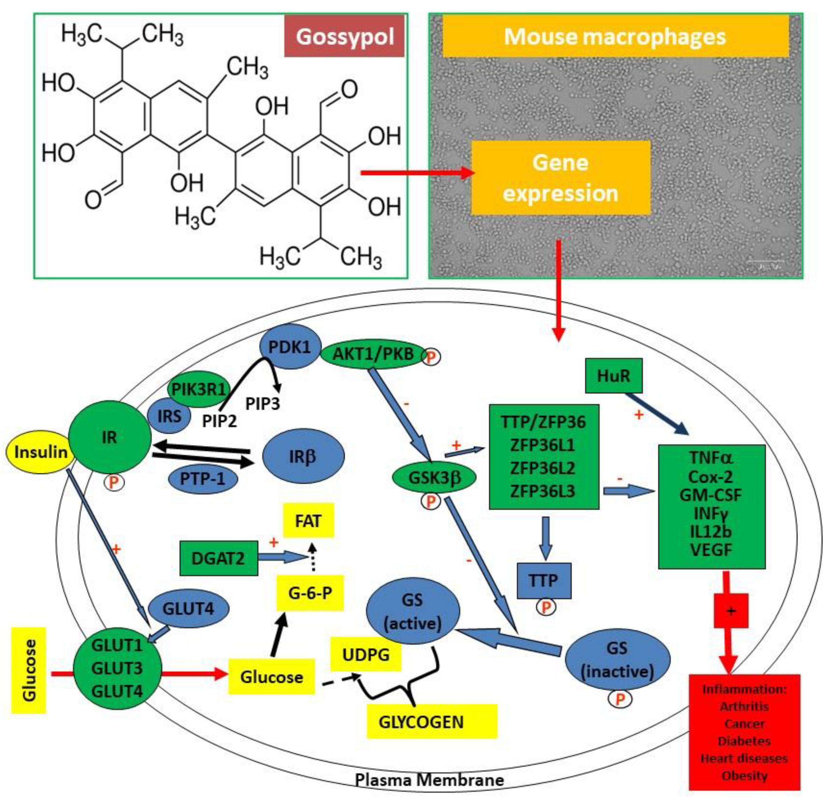 Biomolecules 13 00624 g001