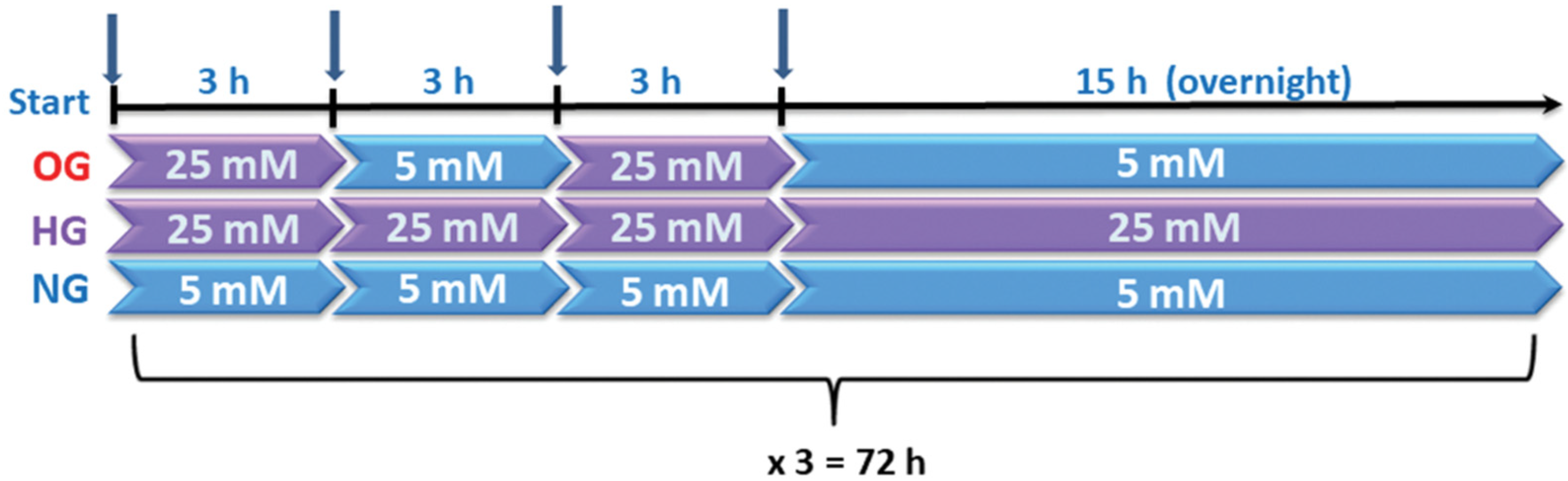Biomolecules 13 00626 g001