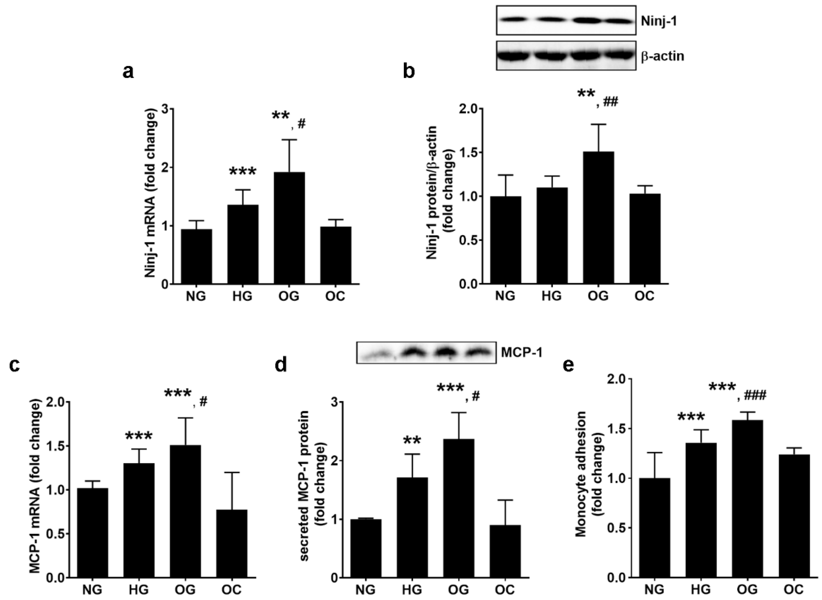 Biomolecules 13 00626 g002