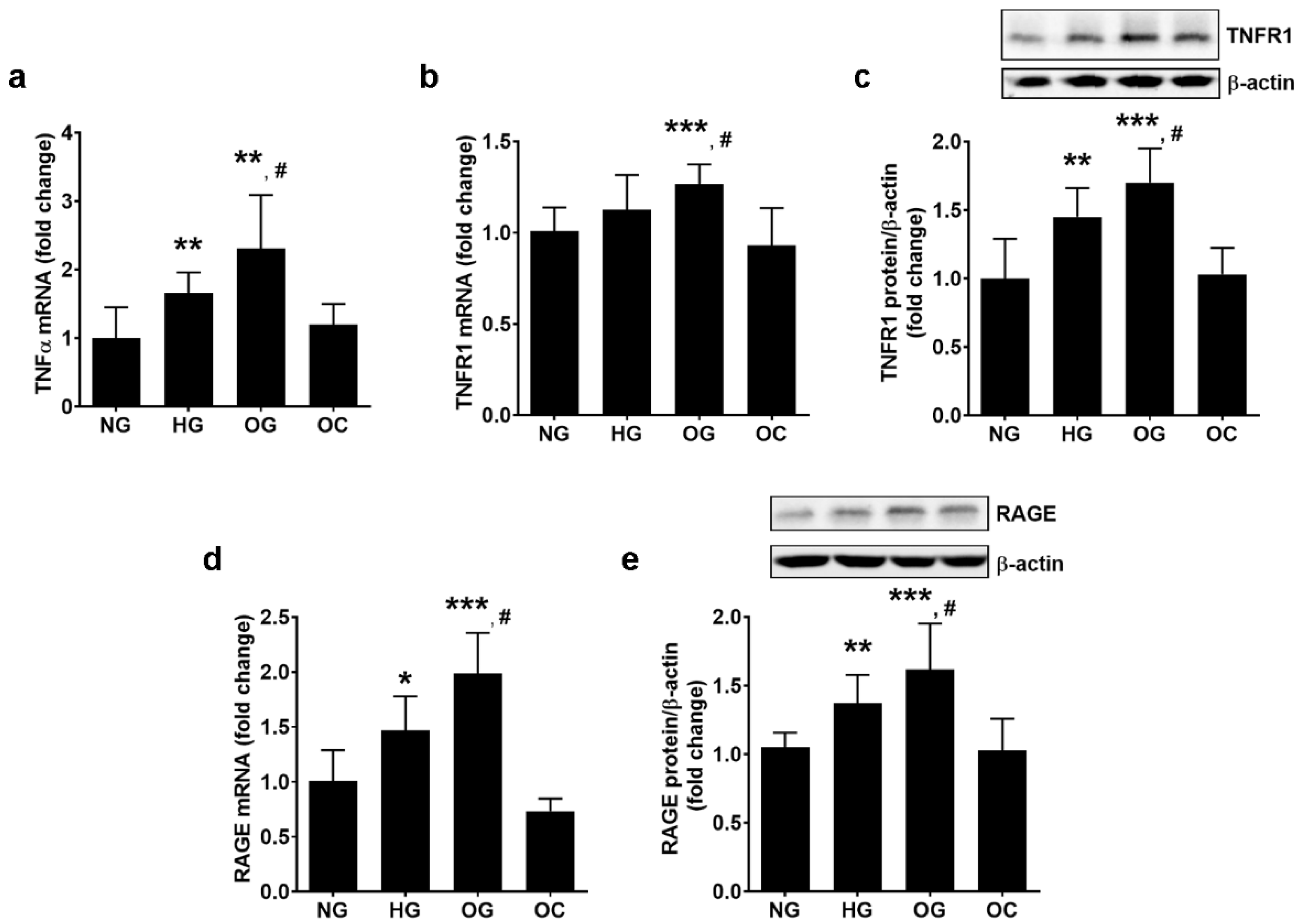 Biomolecules 13 00626 g003