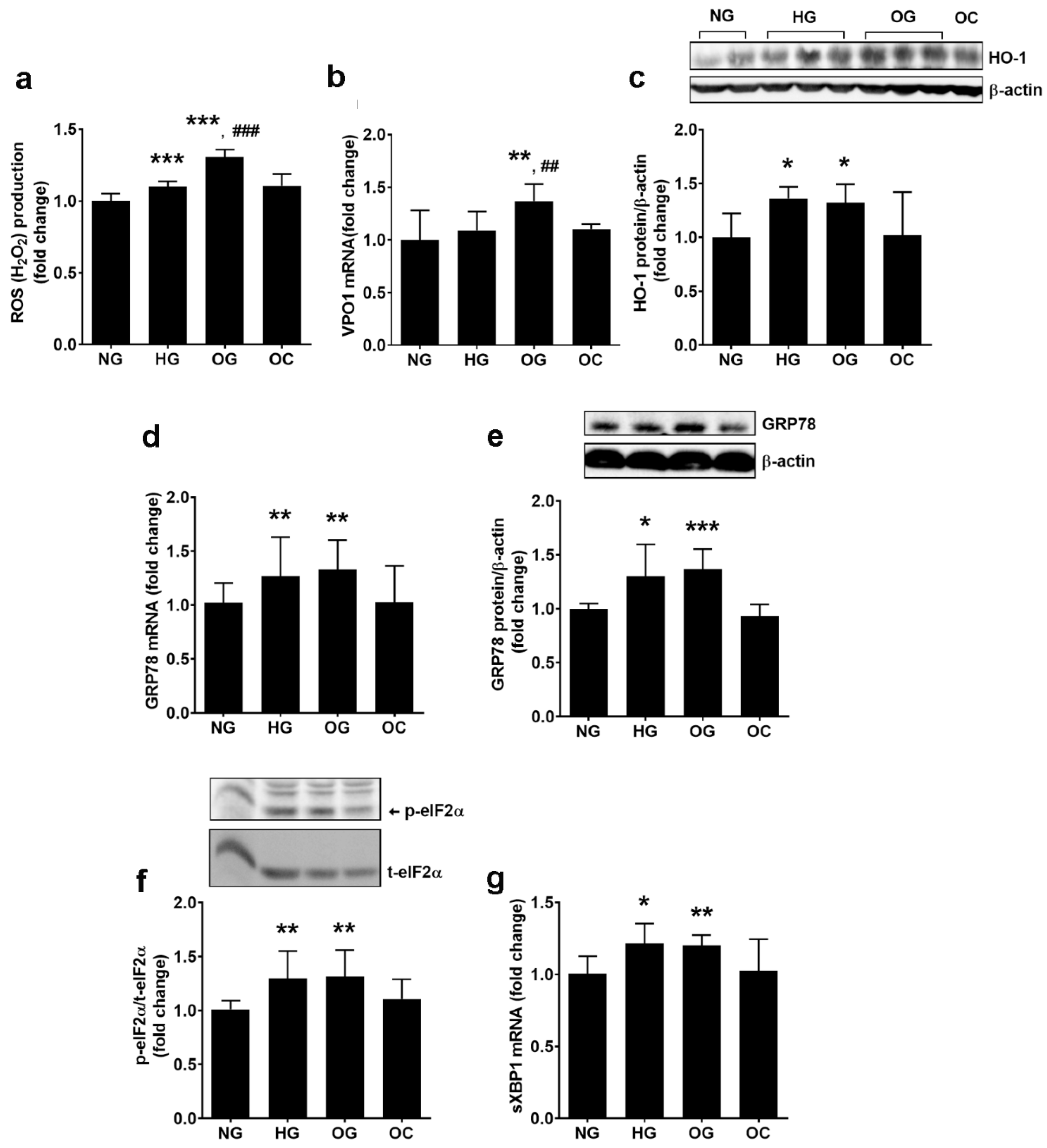 Biomolecules 13 00626 g005