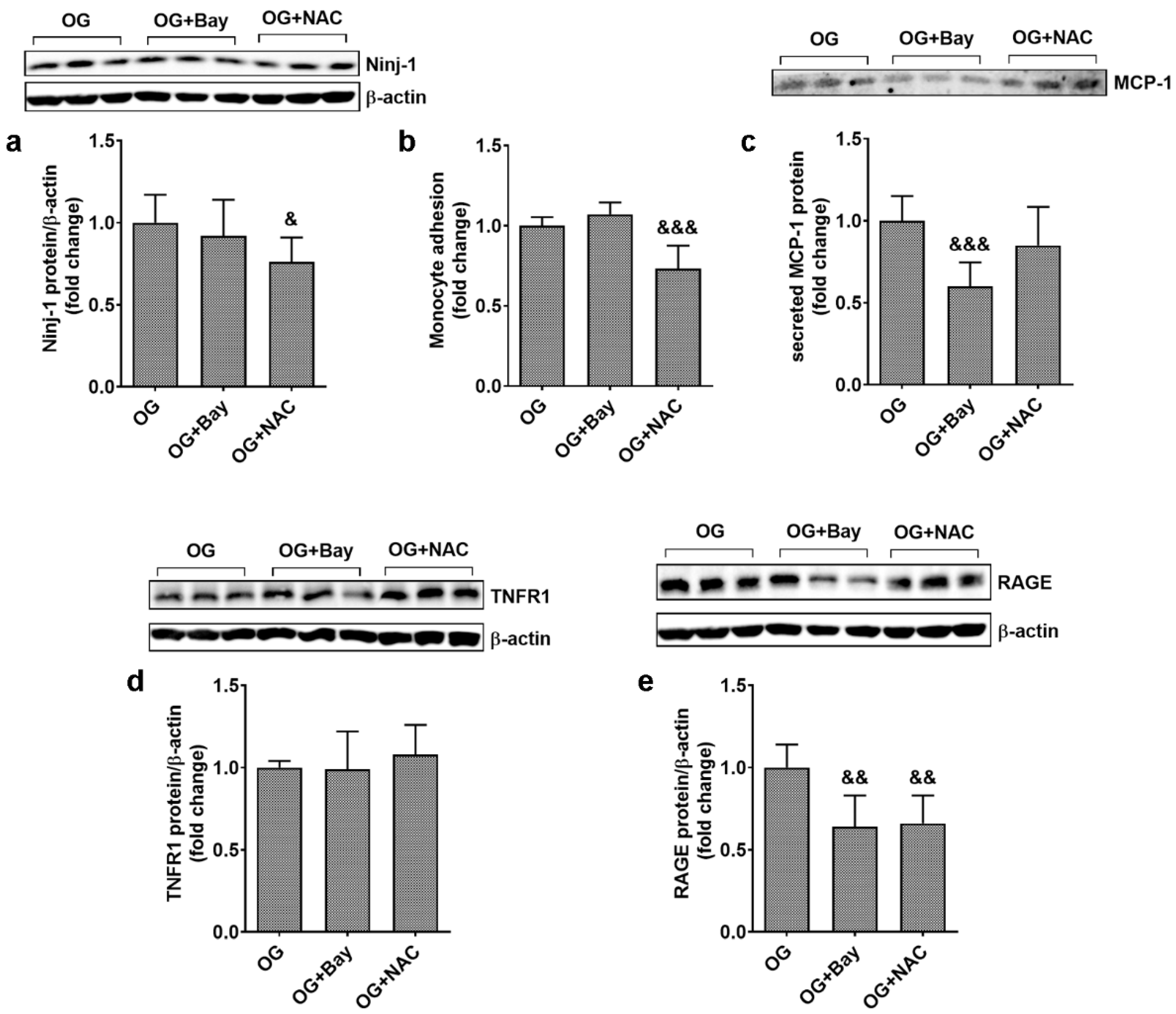Biomolecules 13 00626 g007