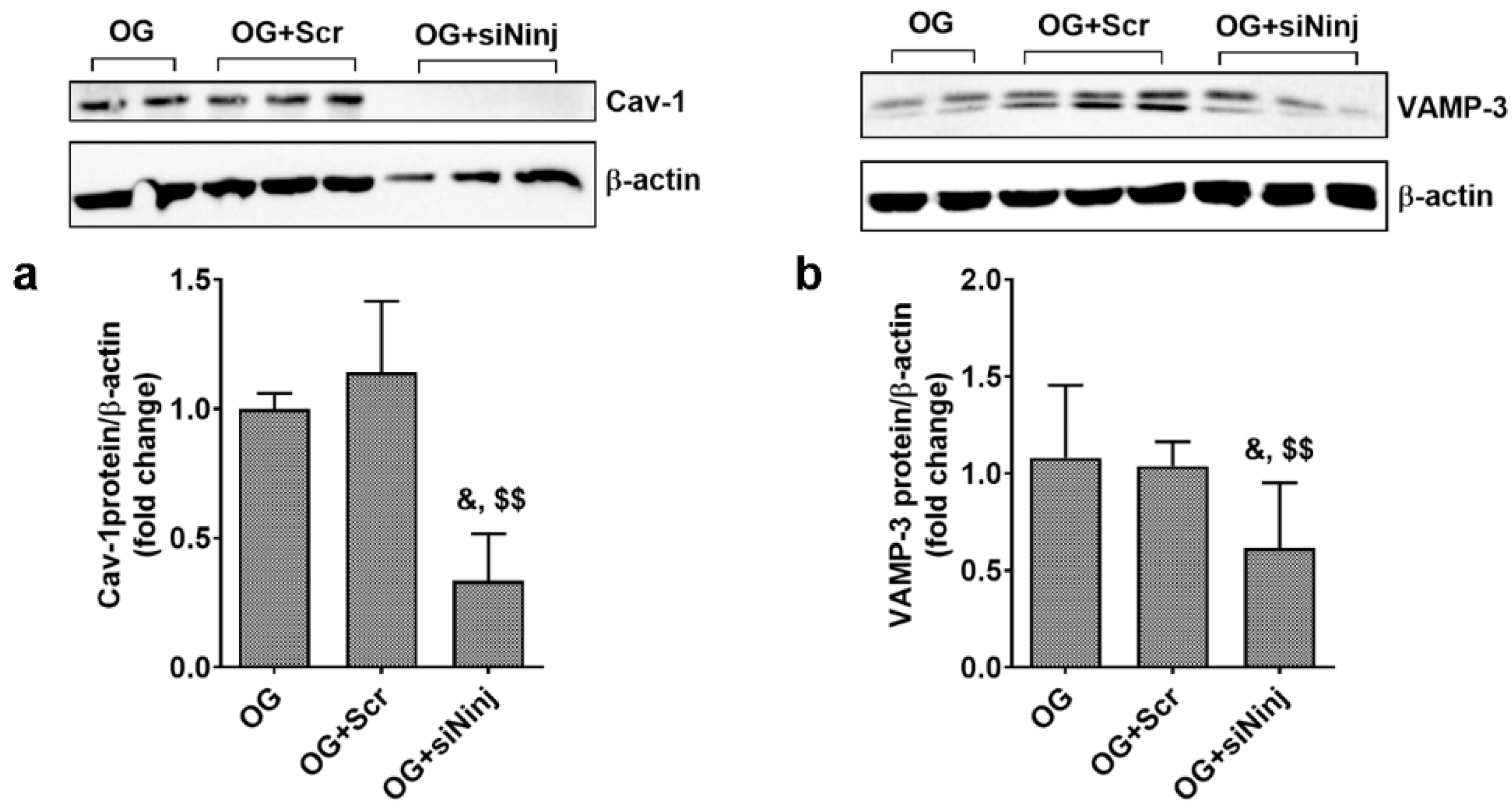 Biomolecules 13 00626 g009