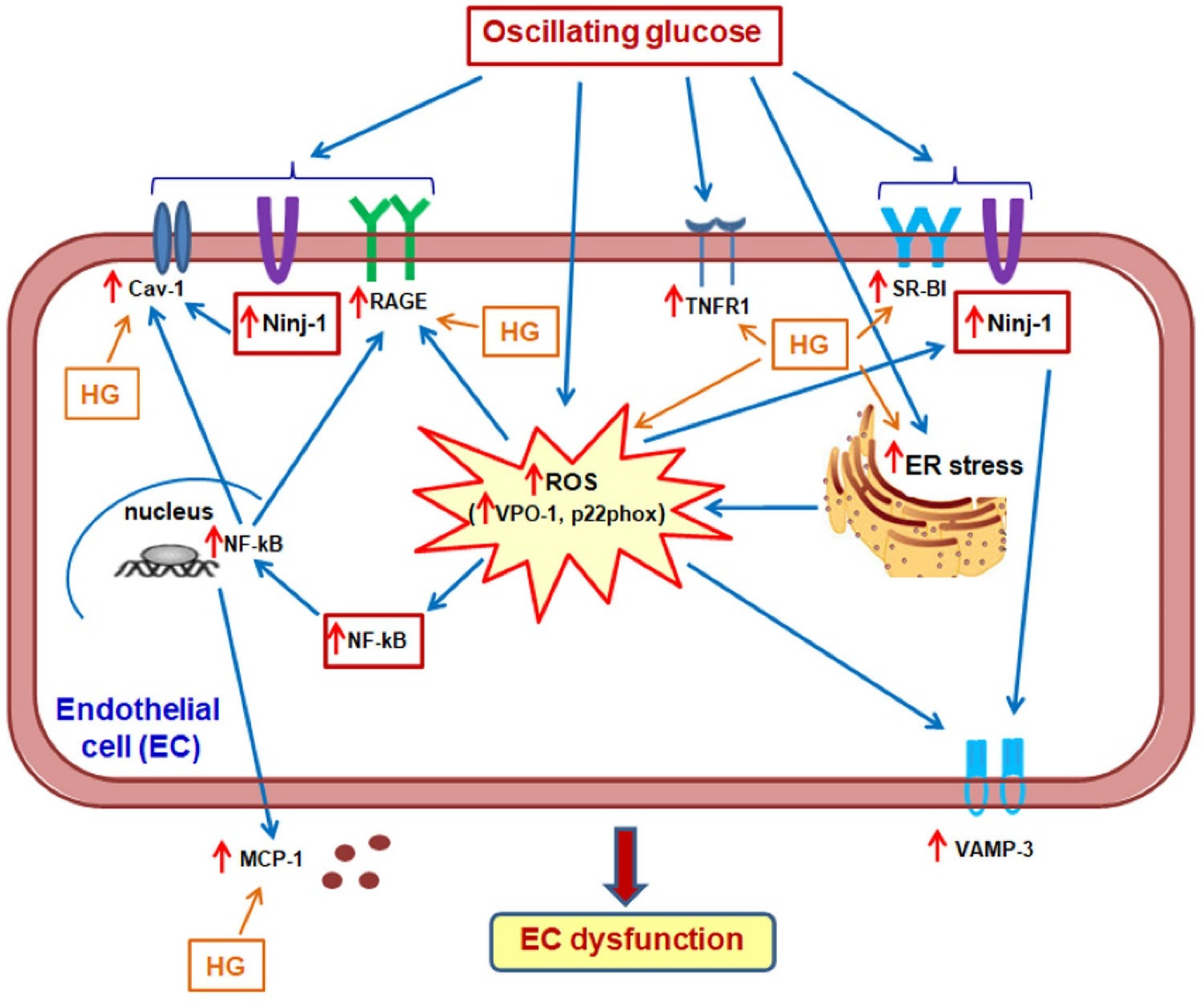 Biomolecules 13 00626 g011