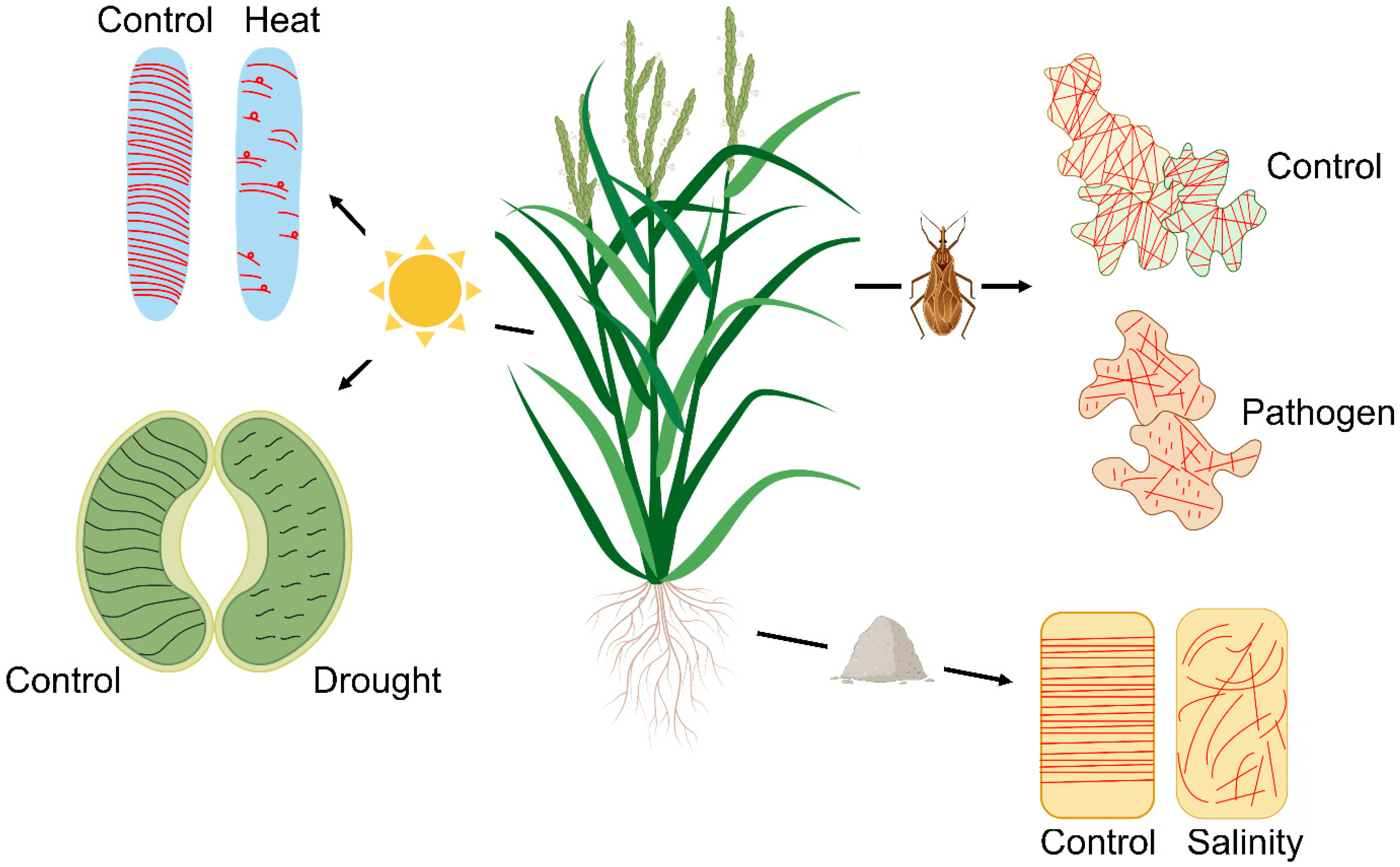Biomolecules 13 00627 g002