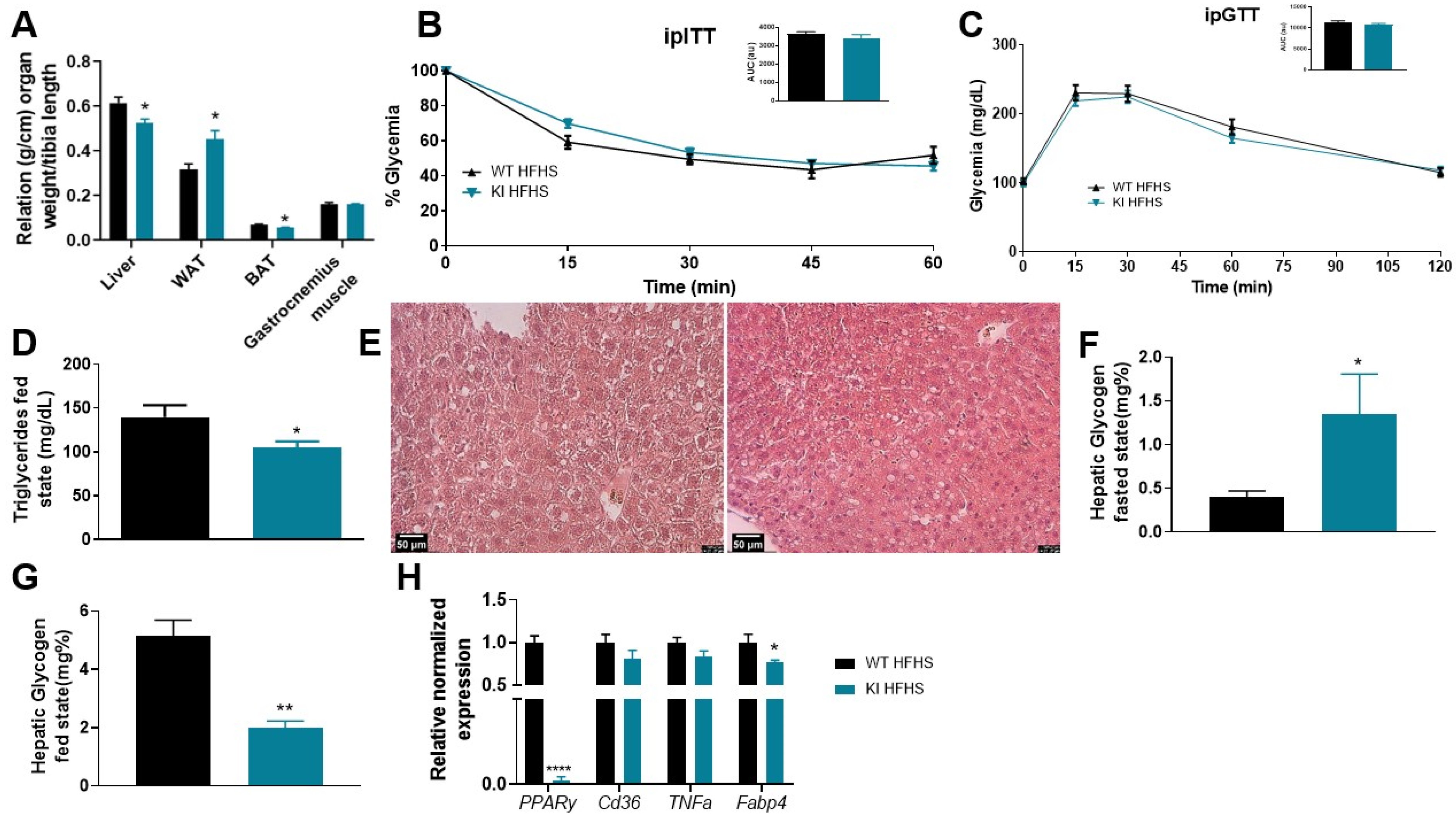 Biomolecules 13 00632 g003